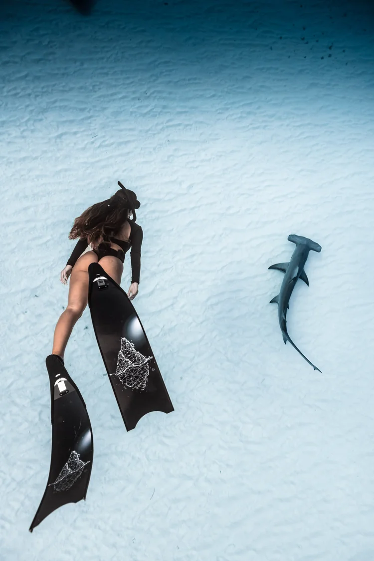 Freediver with a great hammerhead shark in the Bahamas