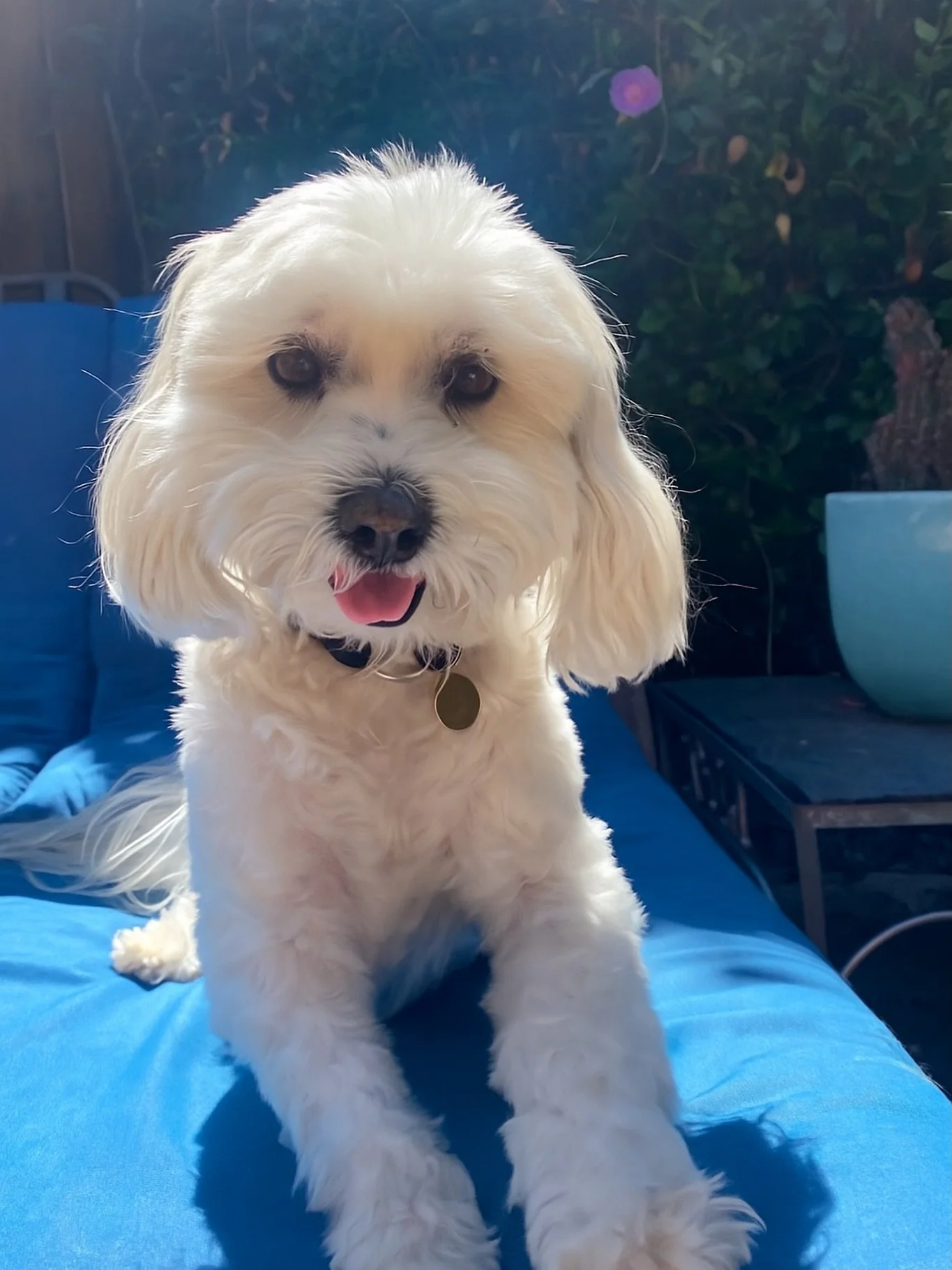 11.11 ✨Happy 10 years to the most handsome boy I know🎂