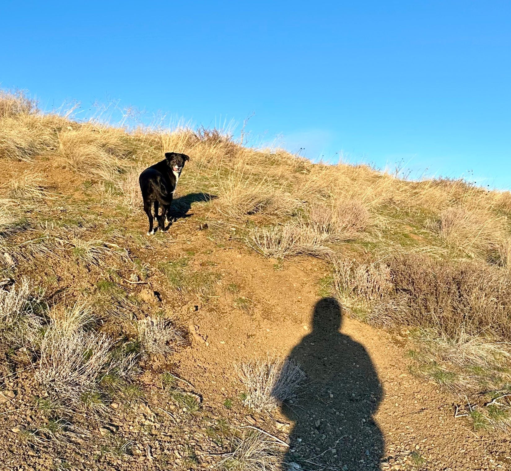 LGBTQIA+ Hiking Group*