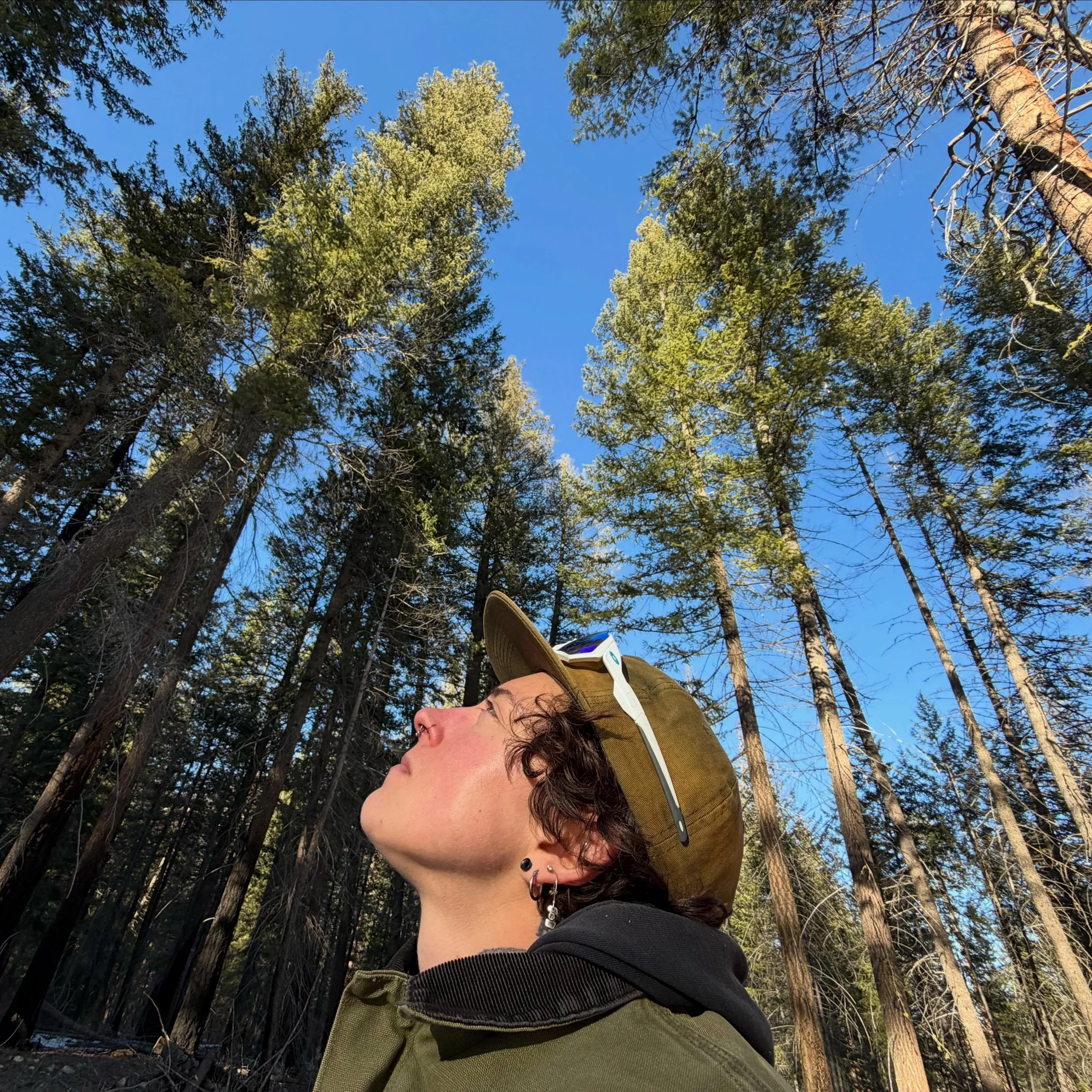 CALL 4 PHOTOS!! &amp; objects &amp; doodles (maybe some rocks too?)

Here are some of the photos we are submitting to the art show! We want to see your queer daily life too. 

Step 1&ndash; Submit photos by DM or Google Form (link in bio).

Step 2&nd