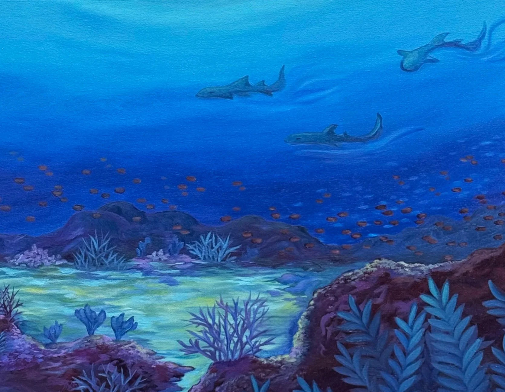 sharks.jpg