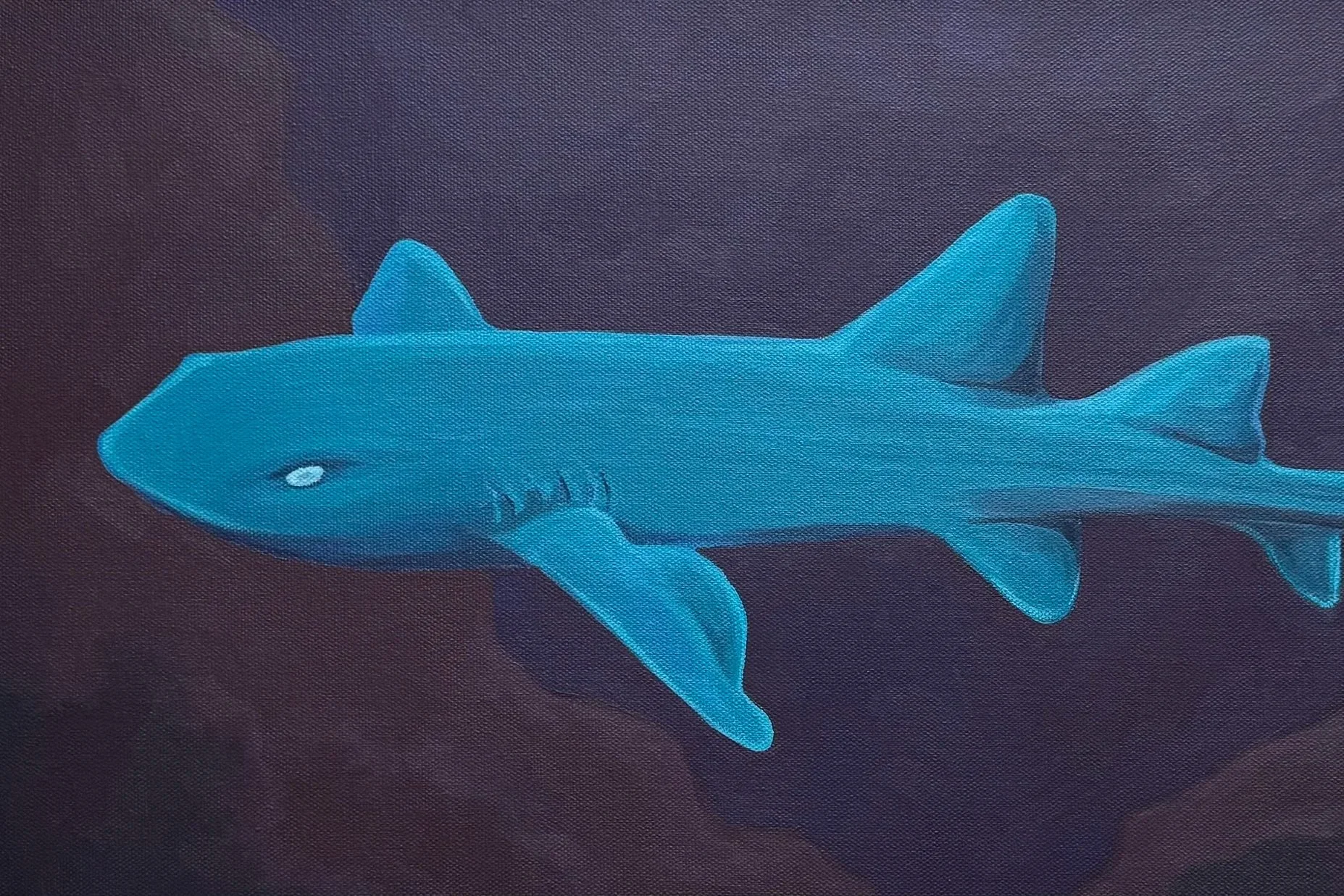 Nurse Shark