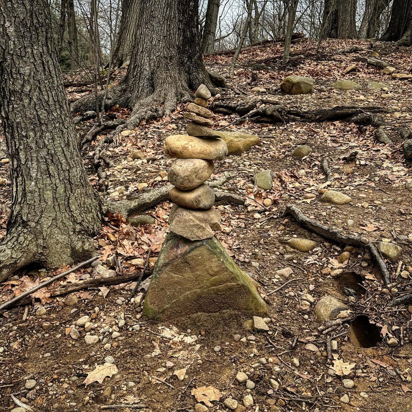 Spotted: minor earthwork in Forest Park