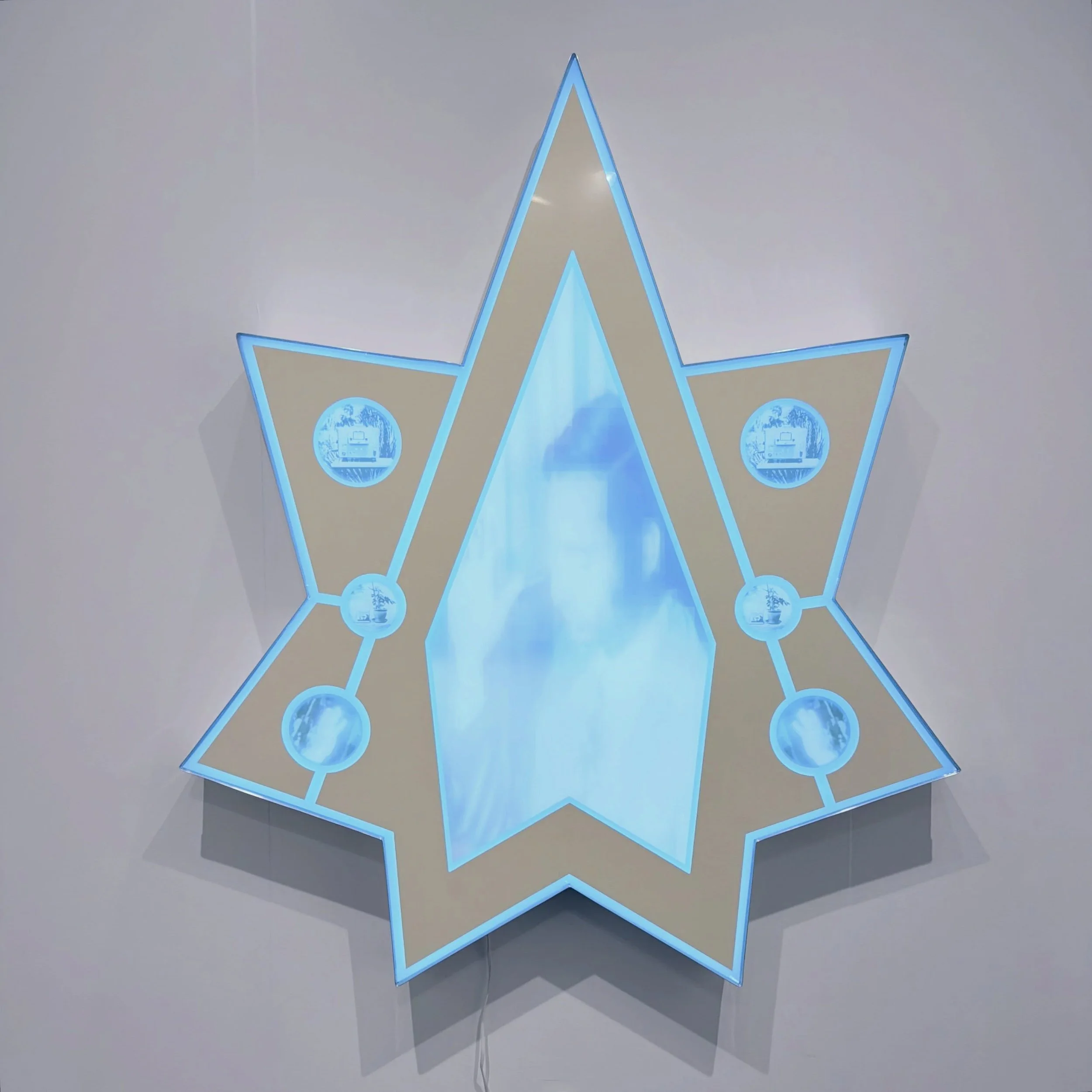 Nina Hartmann, &ldquo;Plant Consciousness Star (Diagram) (psychic Connection)&rdquo; (2026)