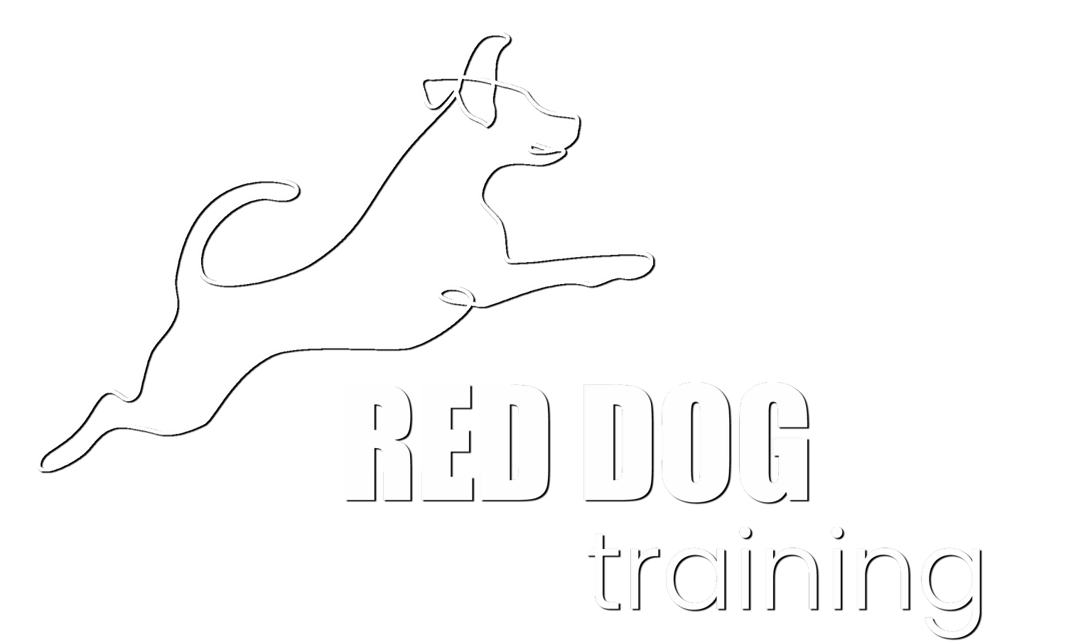 RED DOG training