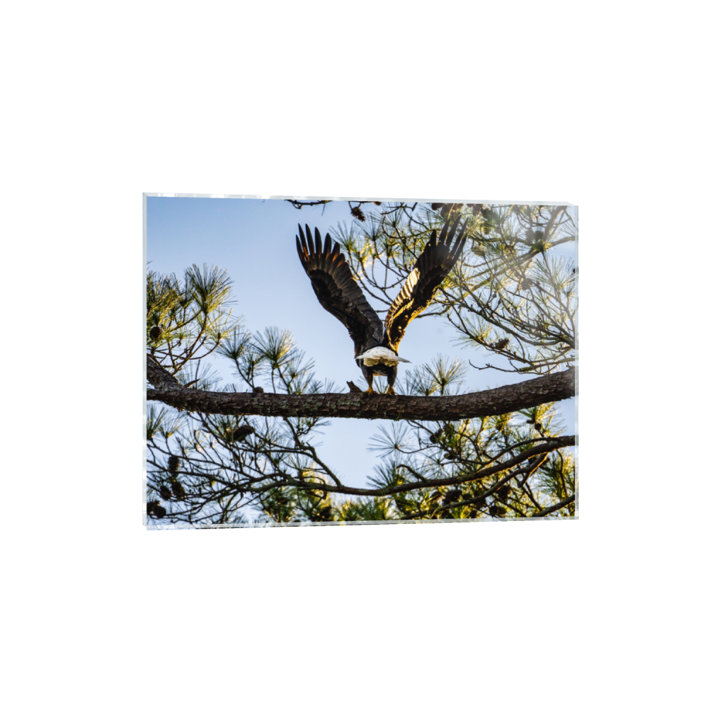 acrylicprint_rectangle3_4_268_0_4305_3229_0_false_ffffff_0_0.png