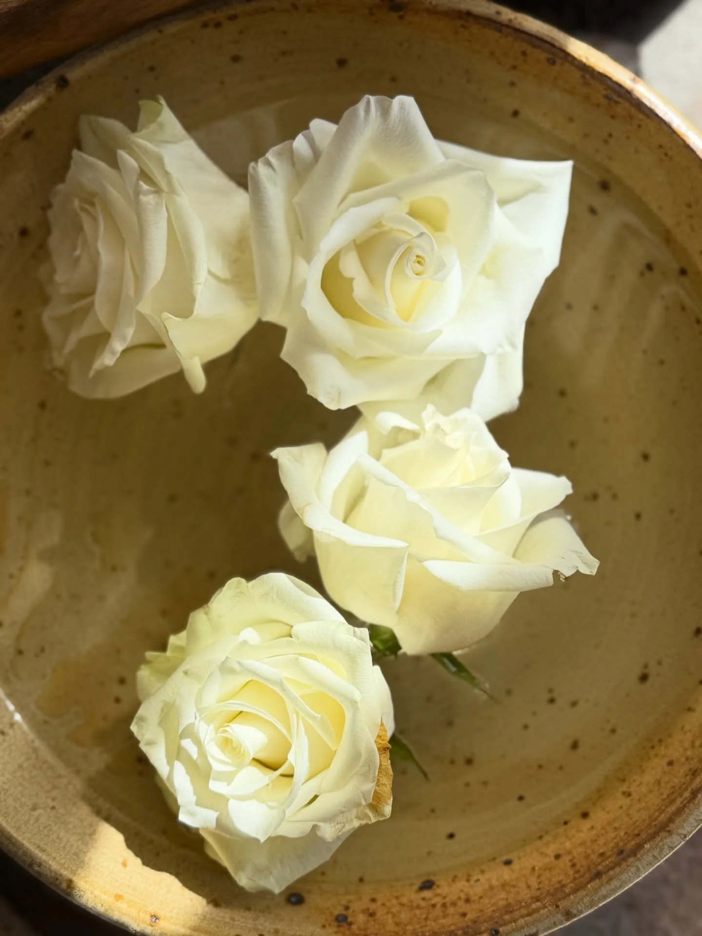 The way to heal
is to be who we already are 
with sacred unfolding ~ true nature blossoms ~ 
this is why we are here on earth 🤍