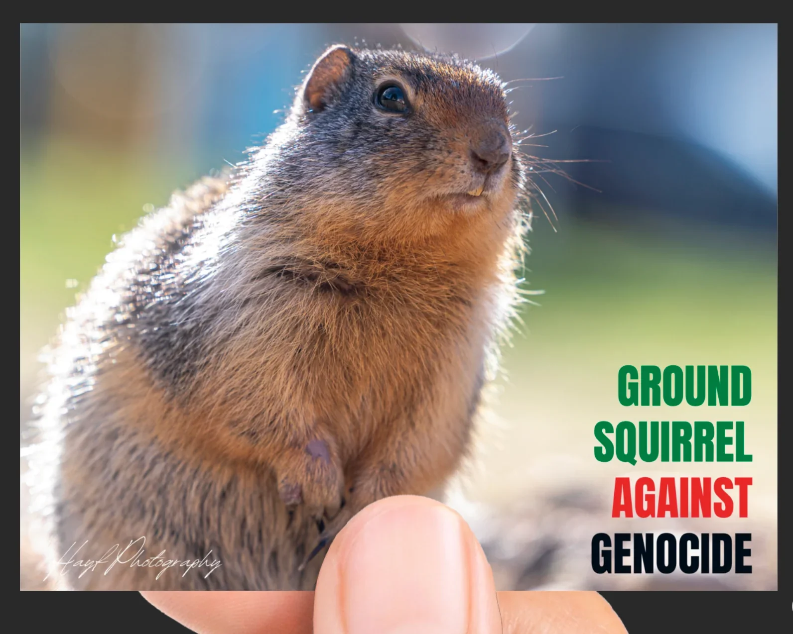 Ground Squirrels Against Genocide Sticker