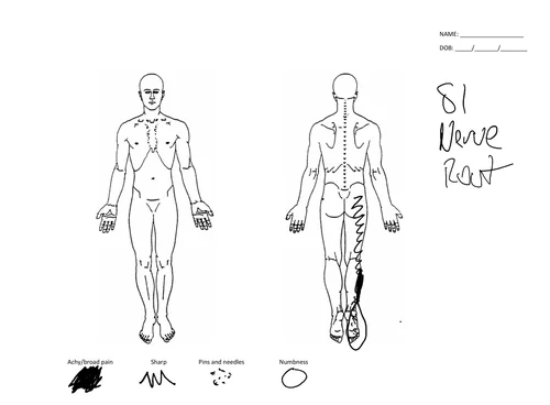 Pain 24 Hour Pattern Graphs Pain Pattern — Dr. Dan Bates