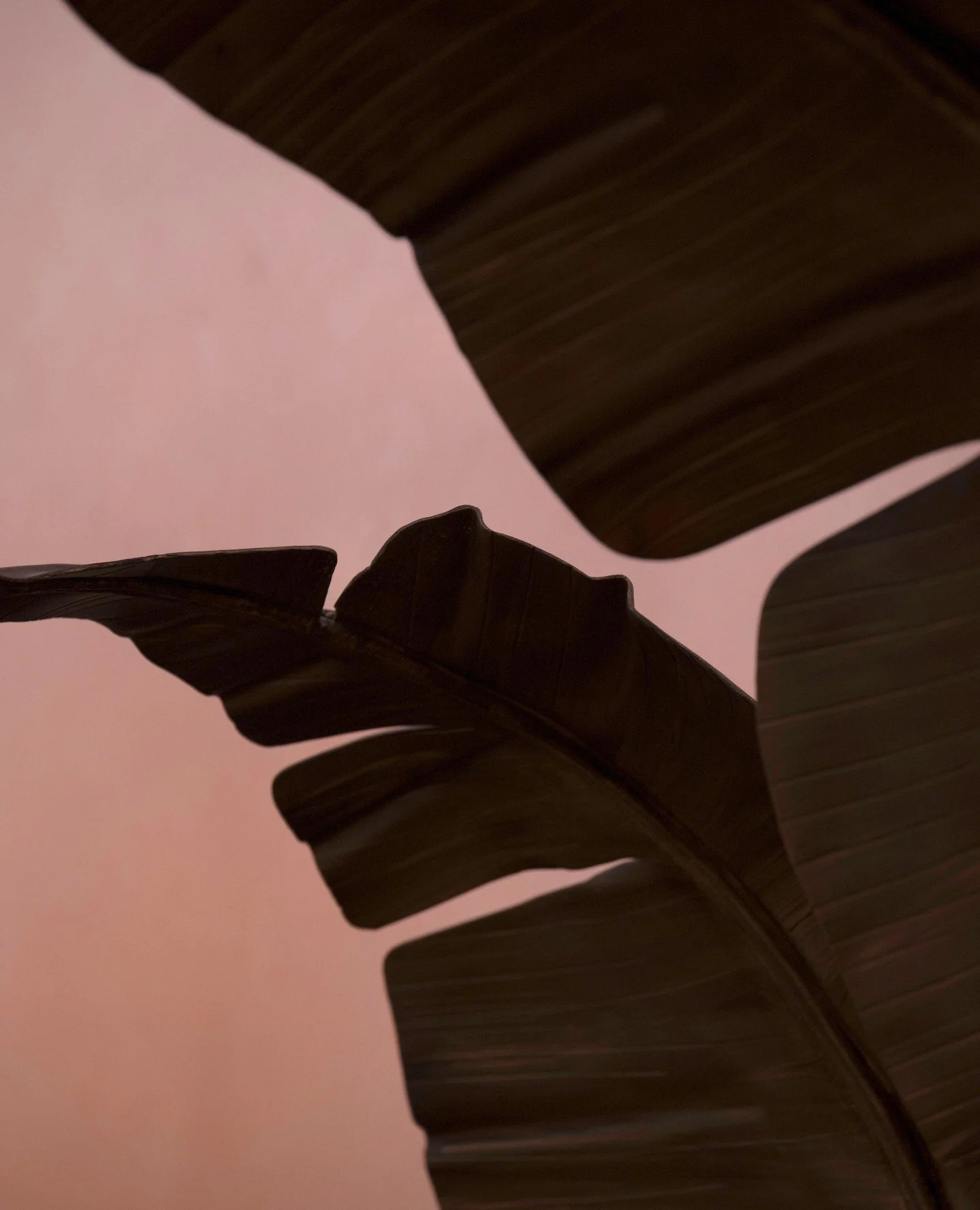 The details tell the story. Sculptural leaves, soft-toned walls and a design language that blends African inspiration with Art Deco ease.⁠
⁠
#flamingoroombytashas #jumeirahalnaseem #flamingoroomdubai