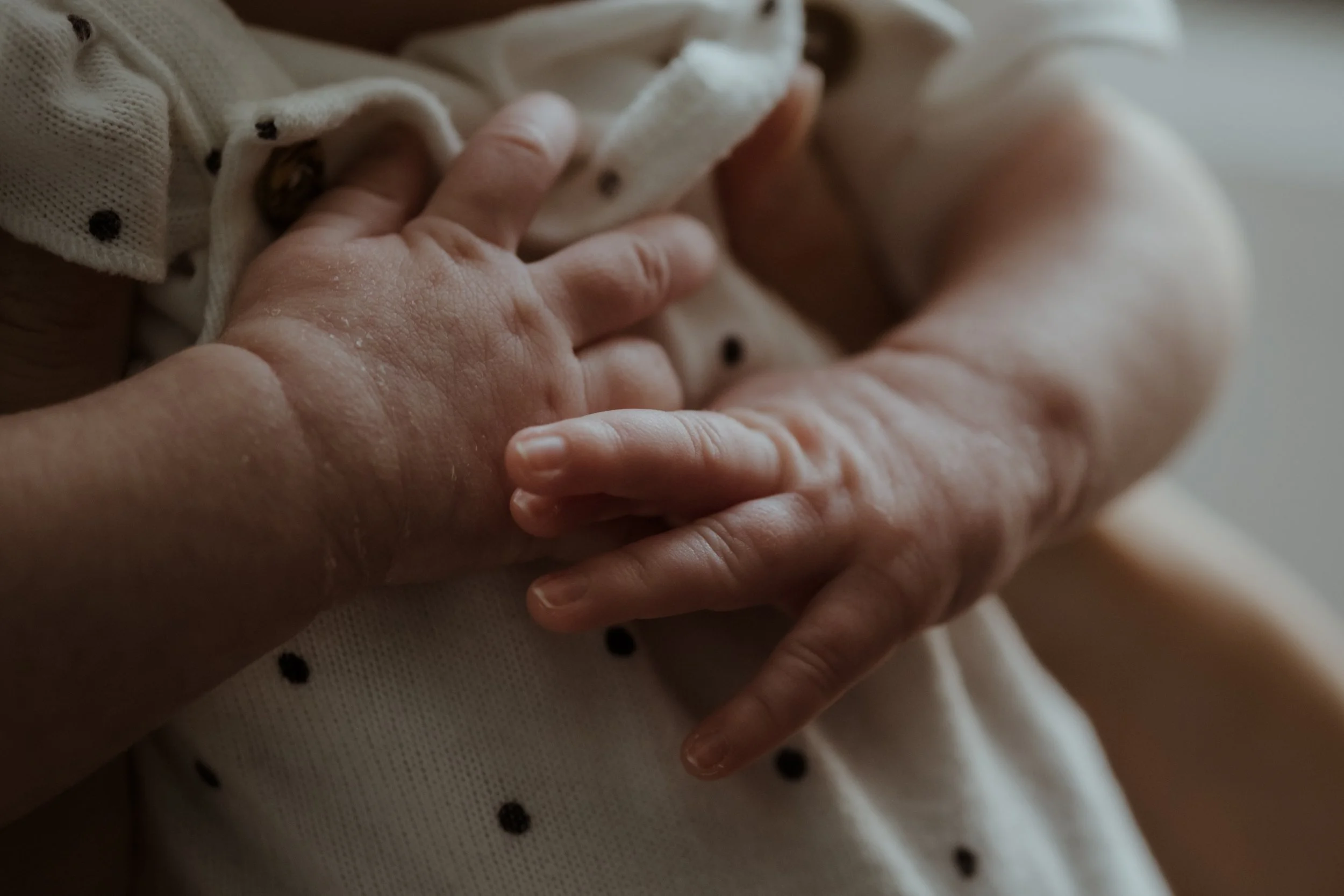 Close-up of a person's hand holding a small, white, striped guinea pig with black eyes, while wearing a cream-colored, polka-dot shirt.