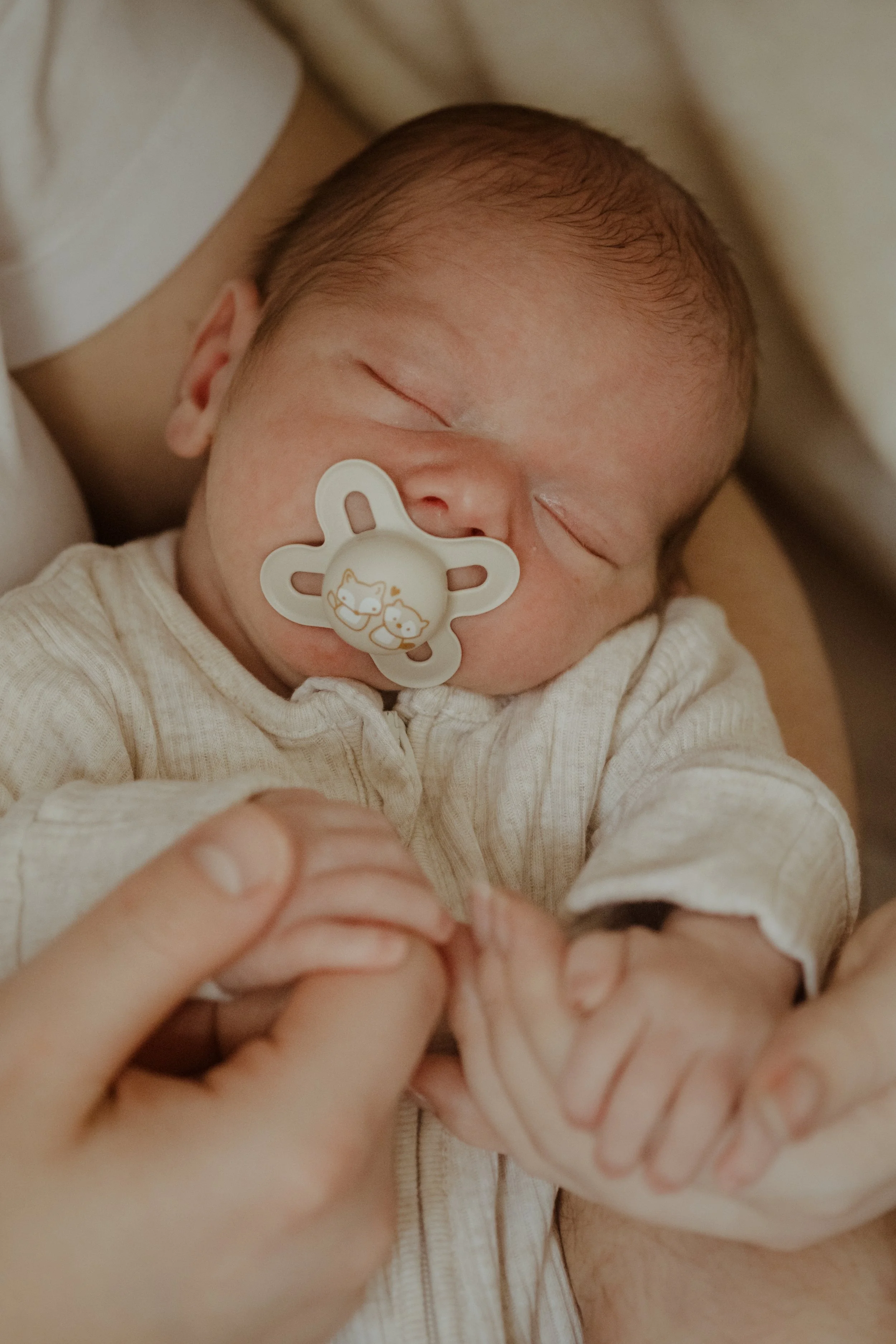 Close-up of a sleeping newborn baby with a pacifier, held by an adult's hand.