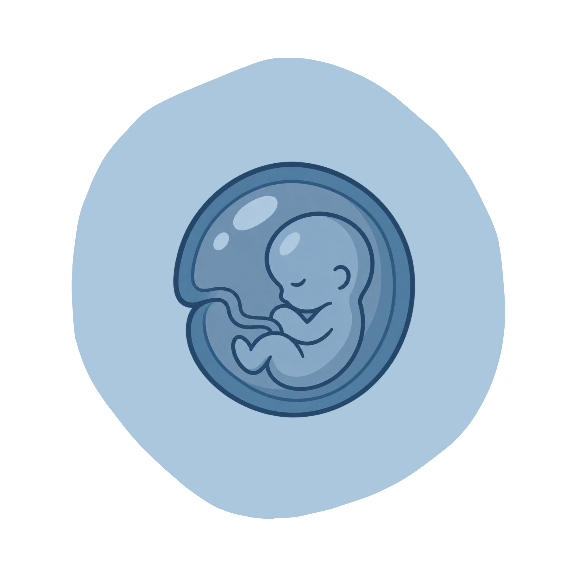 baby in utero