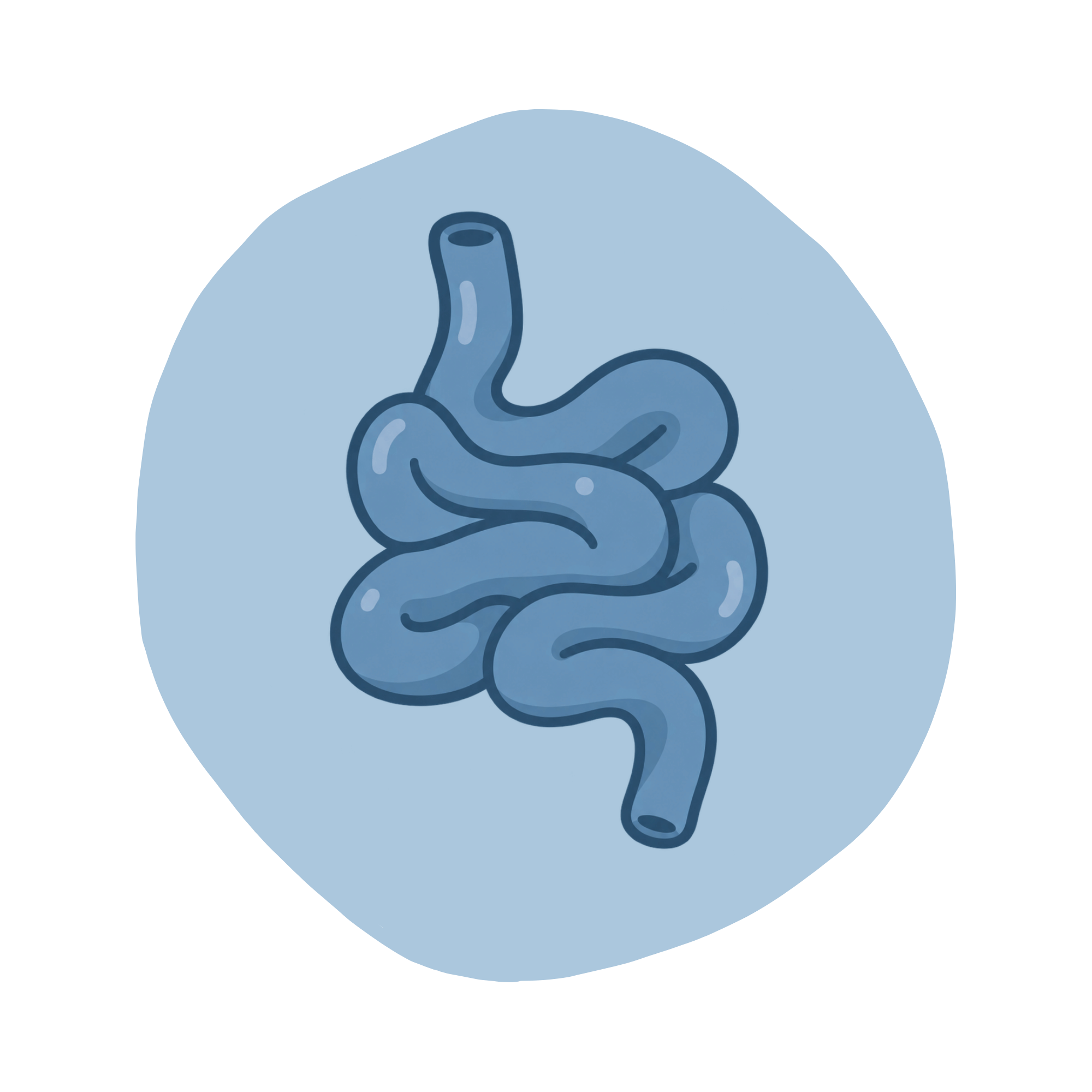 small intestine graphic