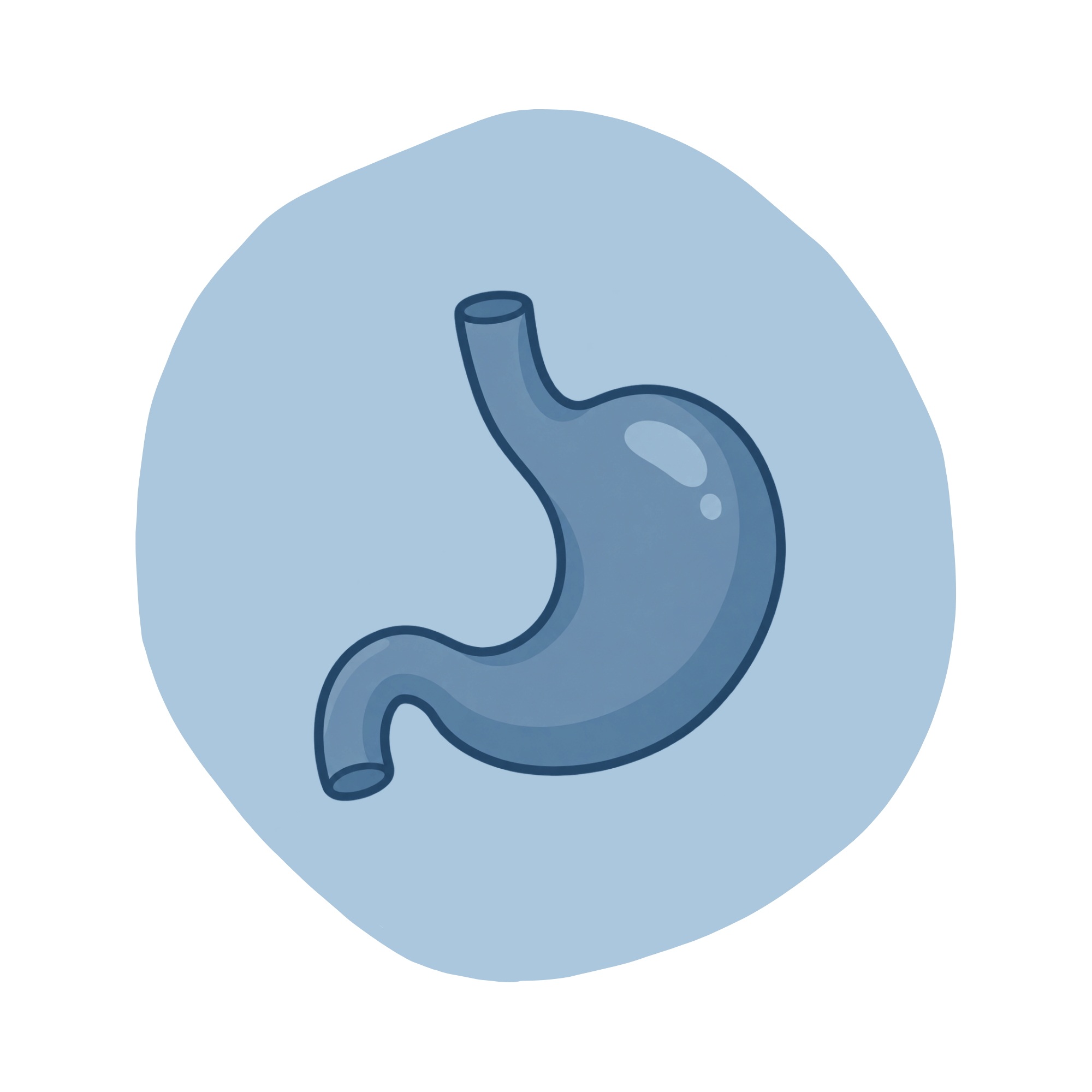 stomach graphic
