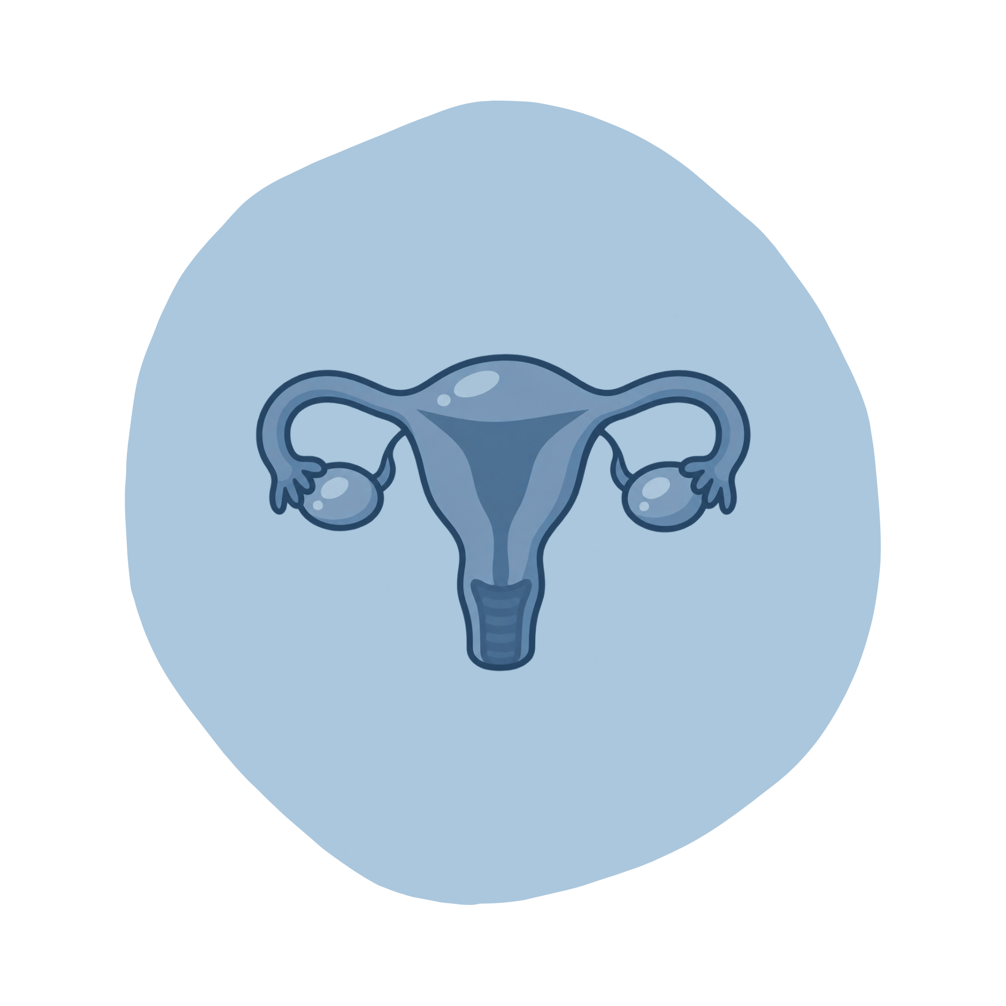 uterus graphic
