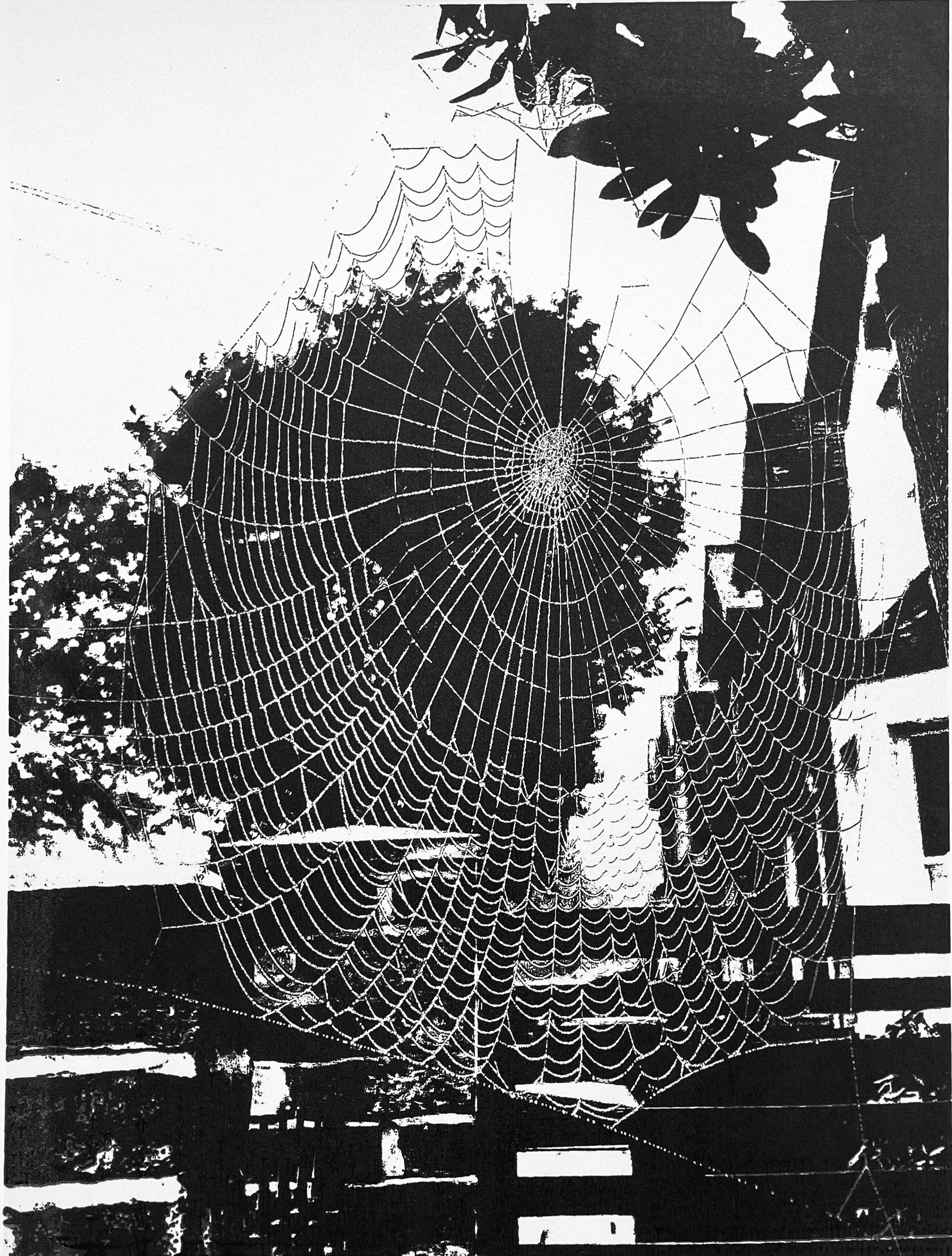 The Cobwebs of My Mind