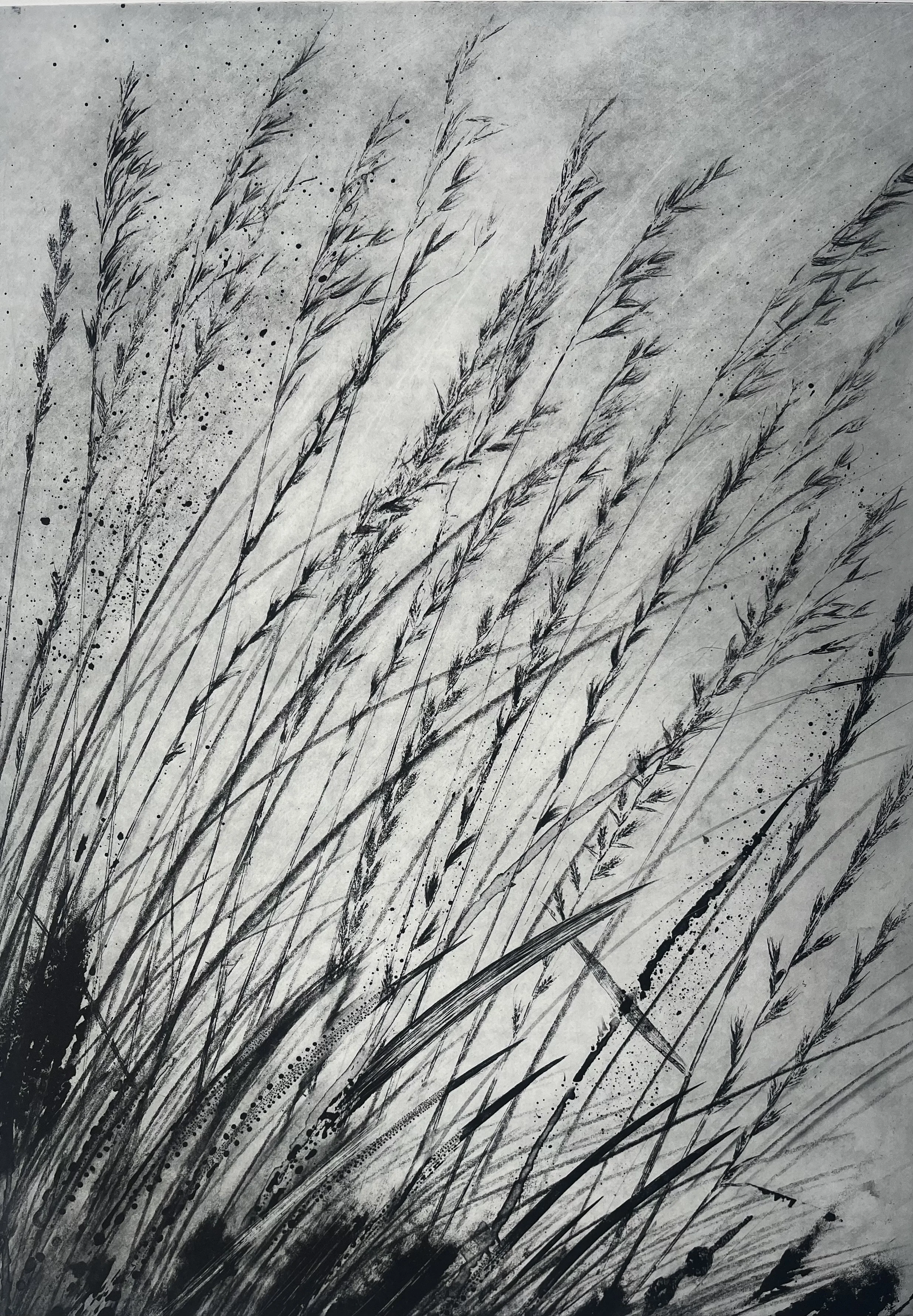 Corinne Mangan_Calling_Photopolymer Etching.jpeg