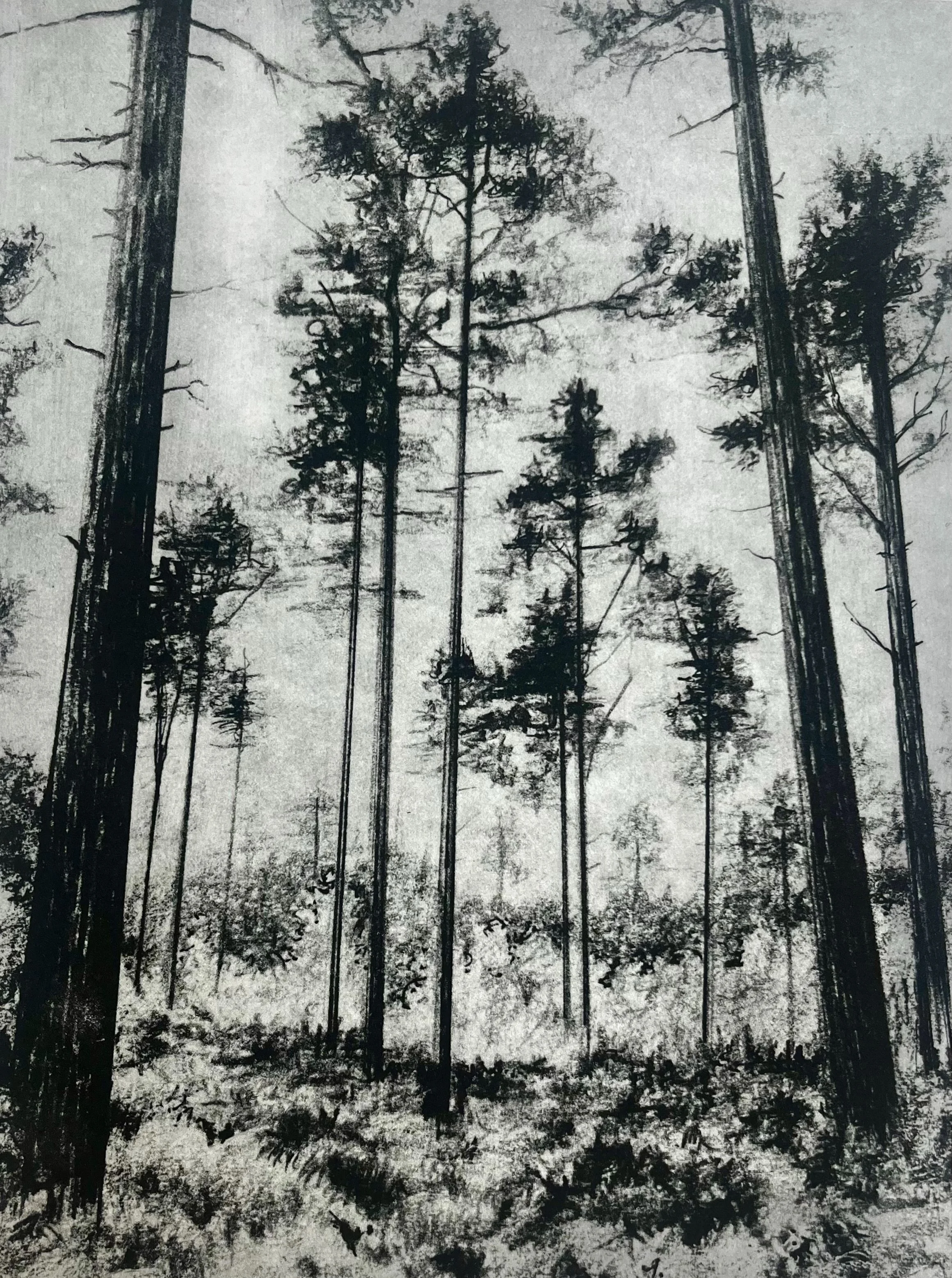  Hurtwood II  
Photopolymer 
18 x 294 cm