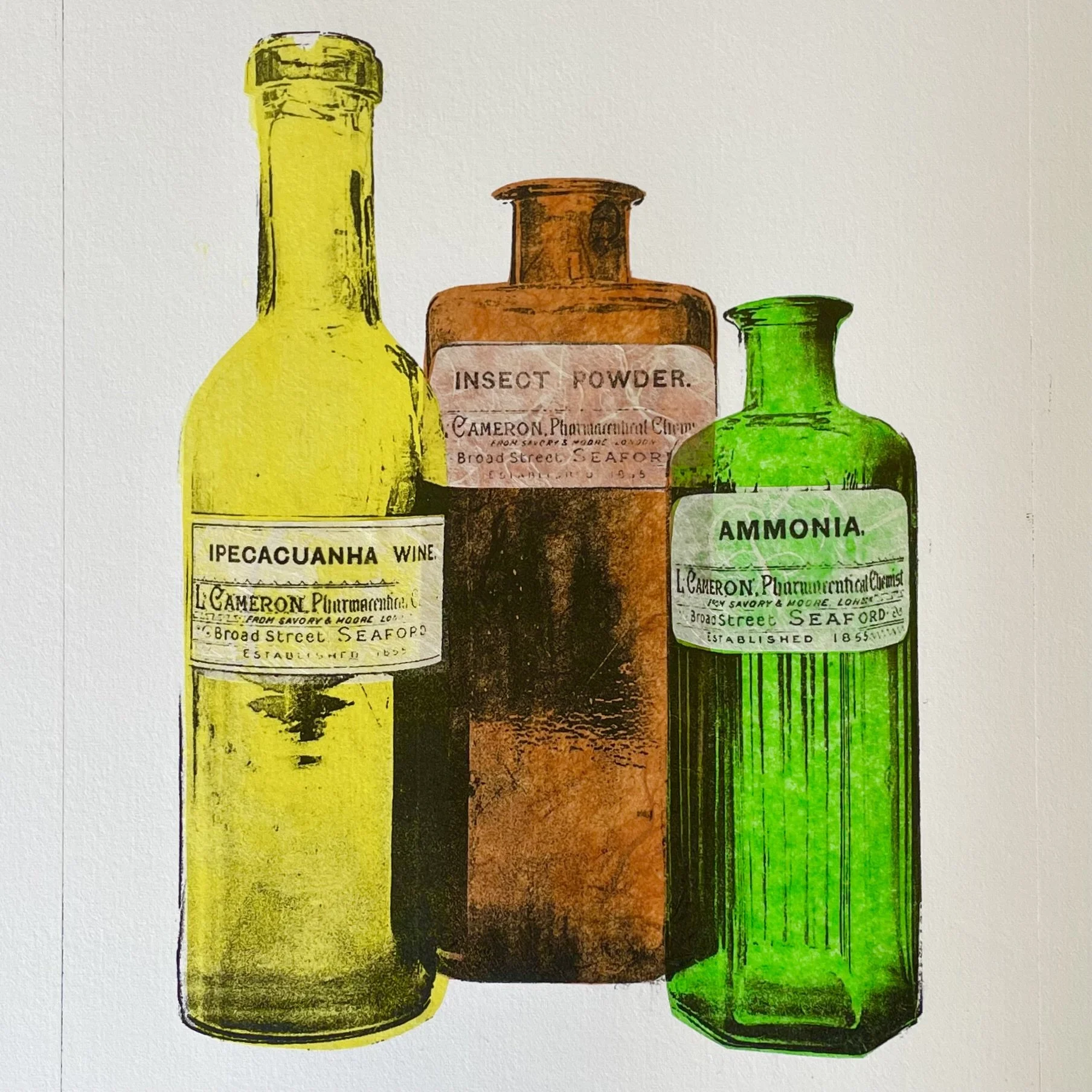  The physician’s accomplice  
Polyester lithograph with chine collé 
20 x 25cm