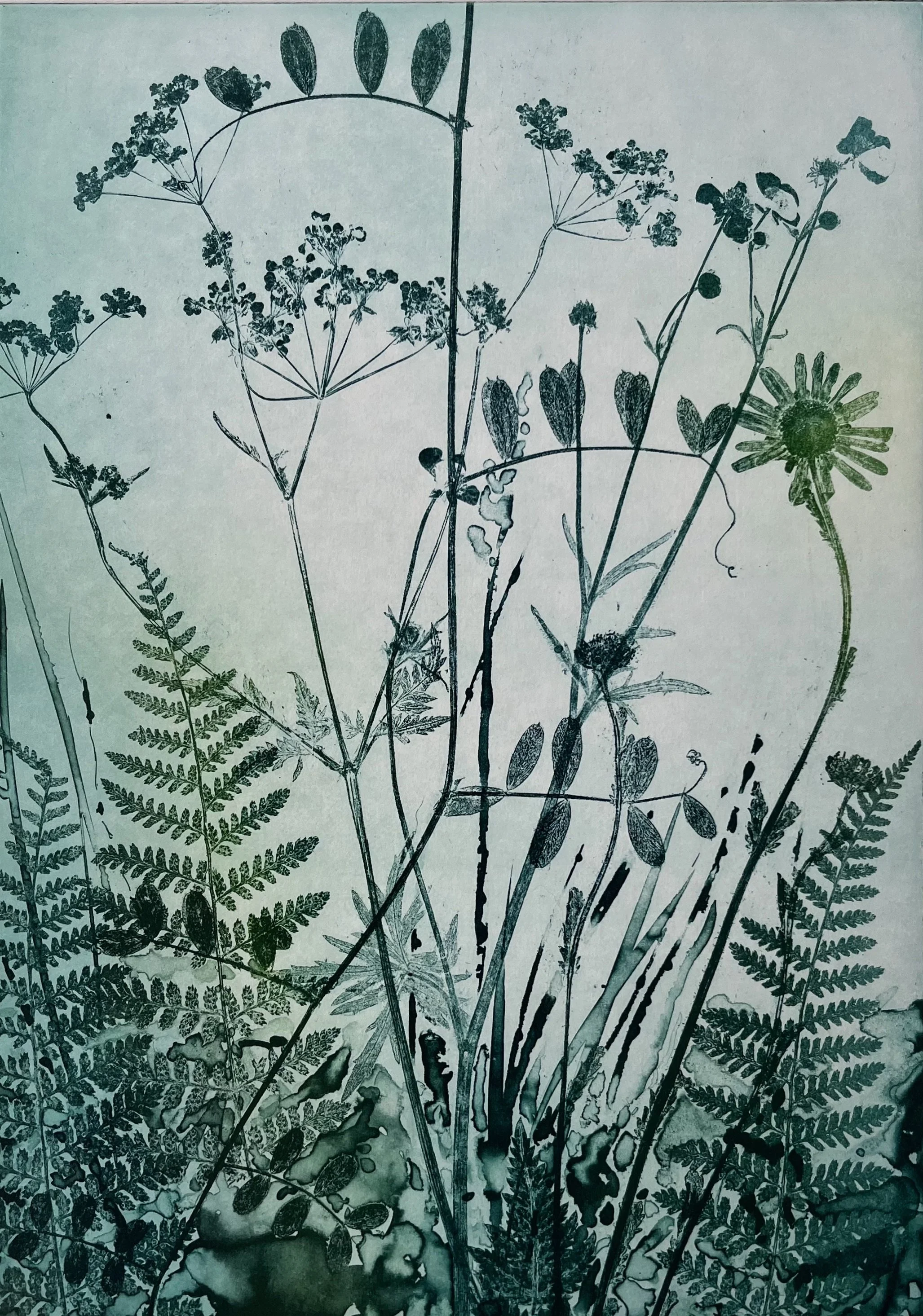  Overlooked  
Photopolymer 
21 x 29.5 cm