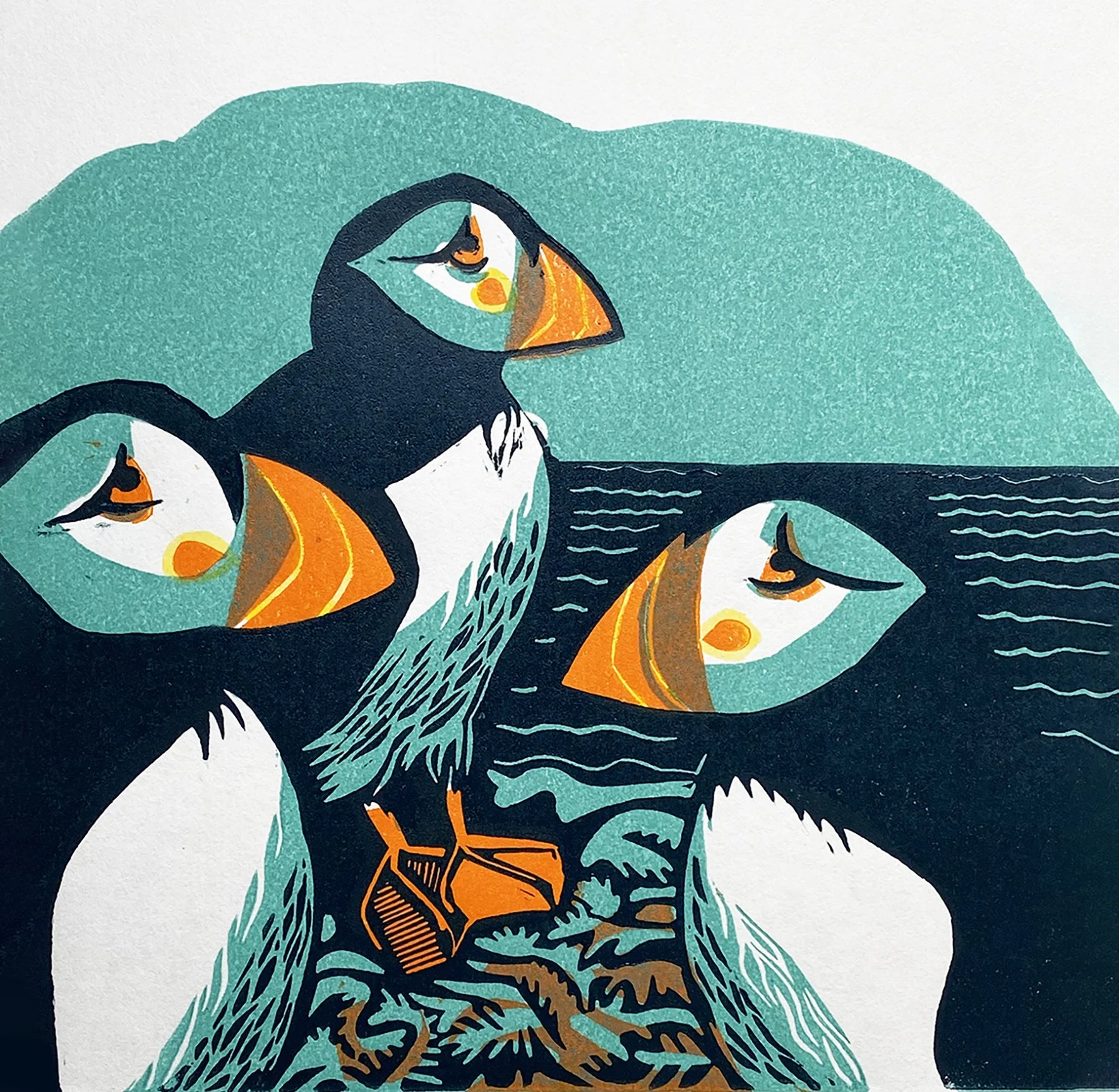 Puffins