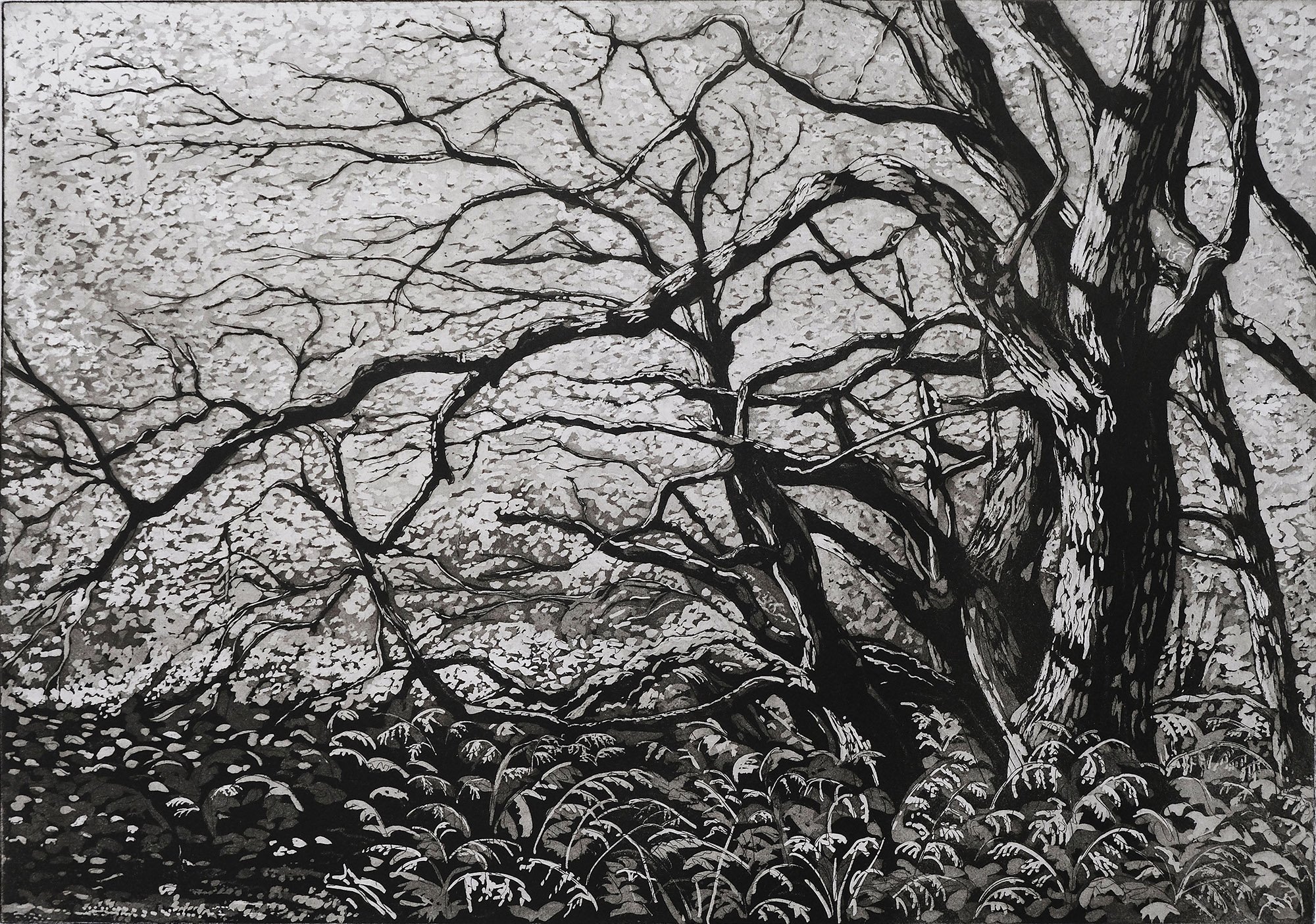  The Light Seekers  
Etching 
33.5 x 50cm
