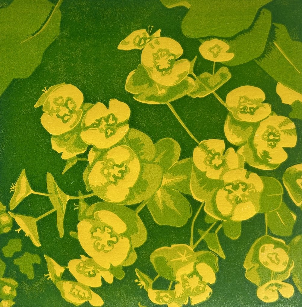 Euphorbia (1).jpeg