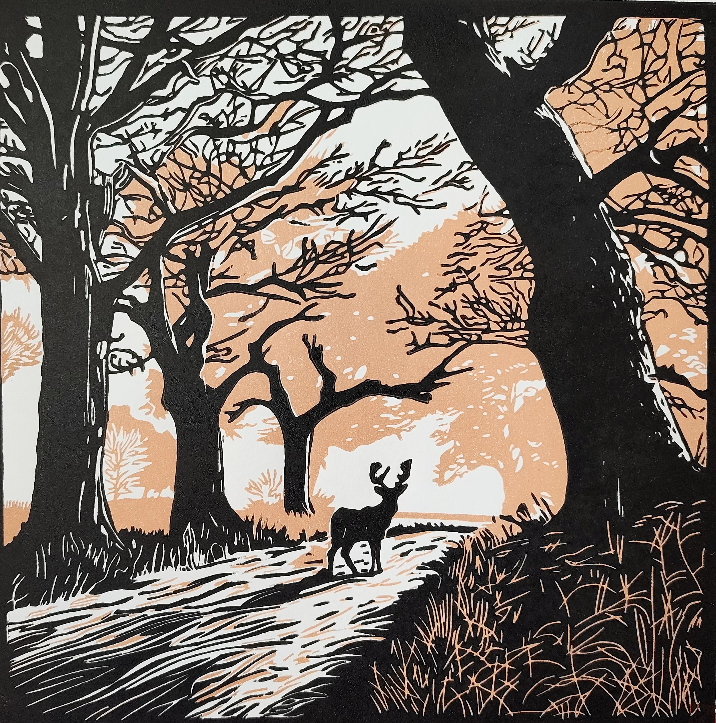 Autumn in Richmond Park 