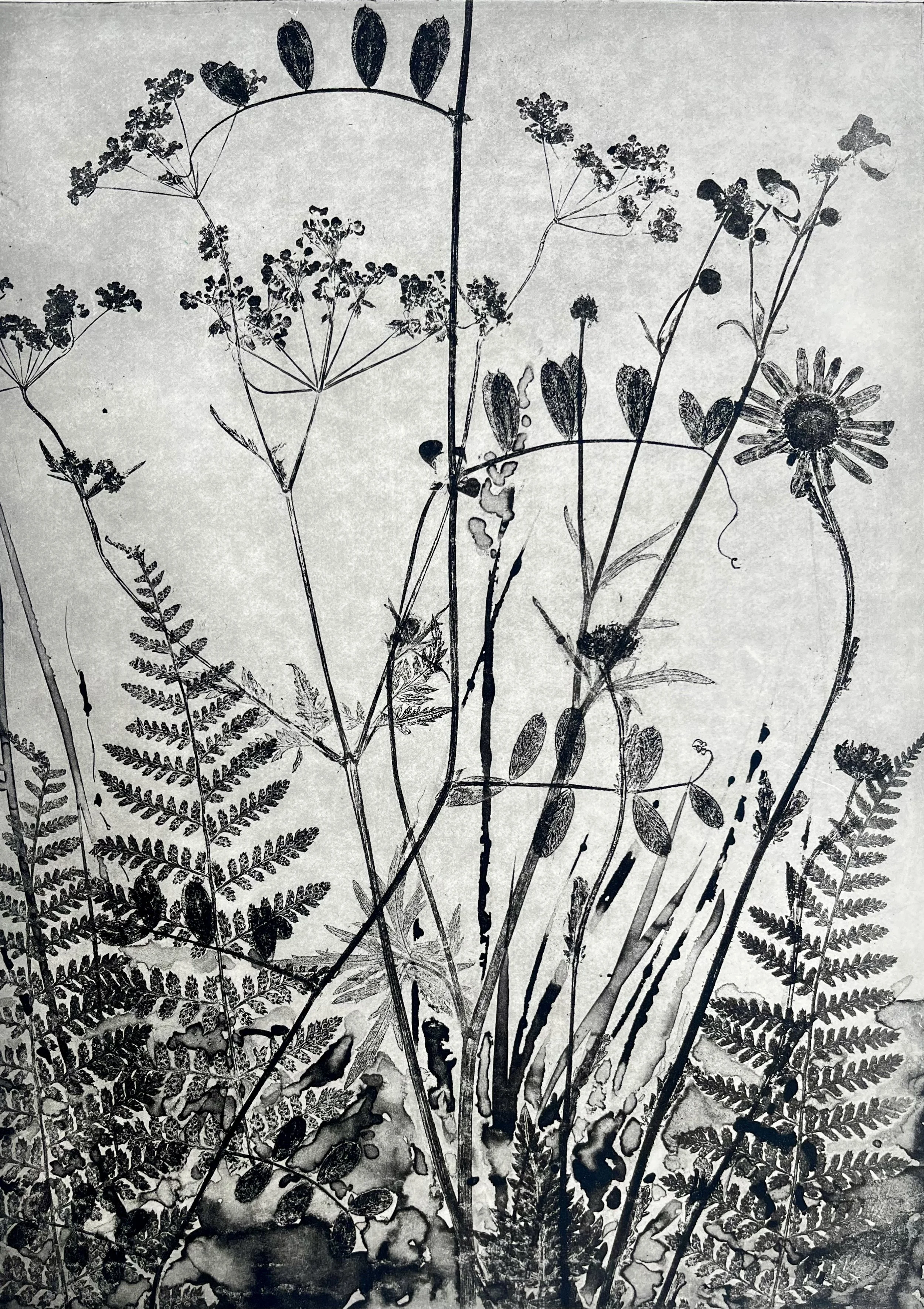 Corinne Mangan_Overlooked_Photopolymer Etching.jpeg