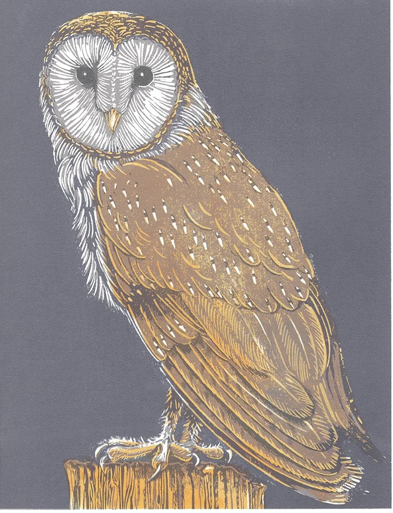 PaulaBoyd-Barrett_BarnOwl_LO.jpg