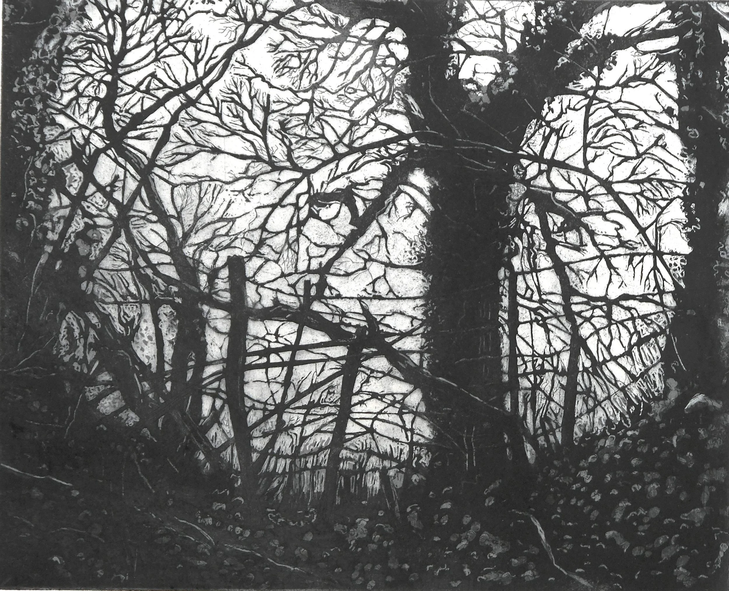 Peg Morris_Tangled_Etching_edition of 20_F£250 UF£175.jpg