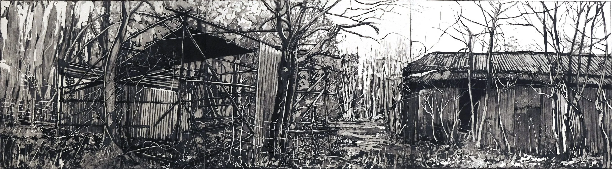  Delapidated Barns at Hangers Wood  
Etching 
25 x 90cm