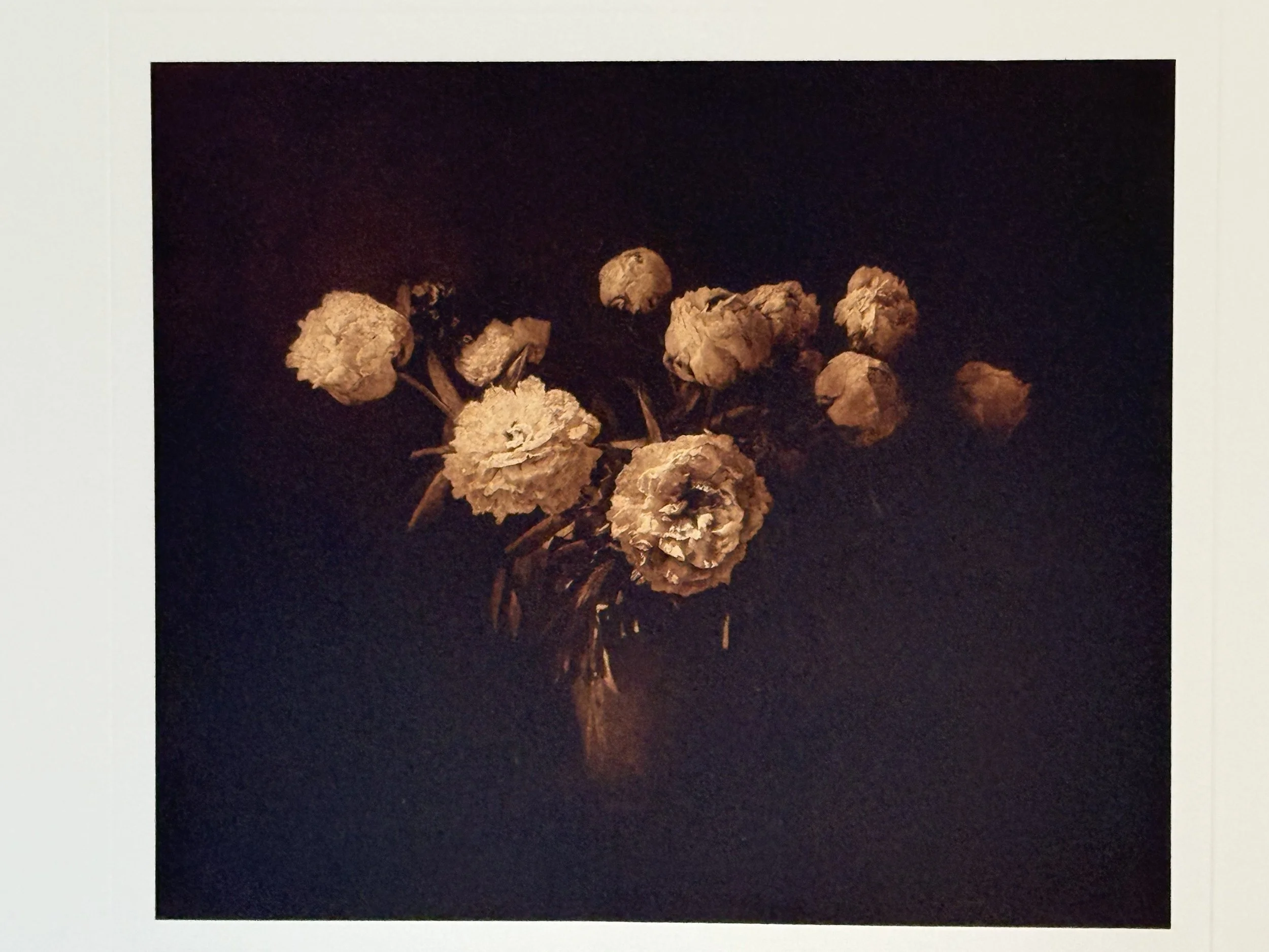  Ros Pritchard  
A Moment in the Light 