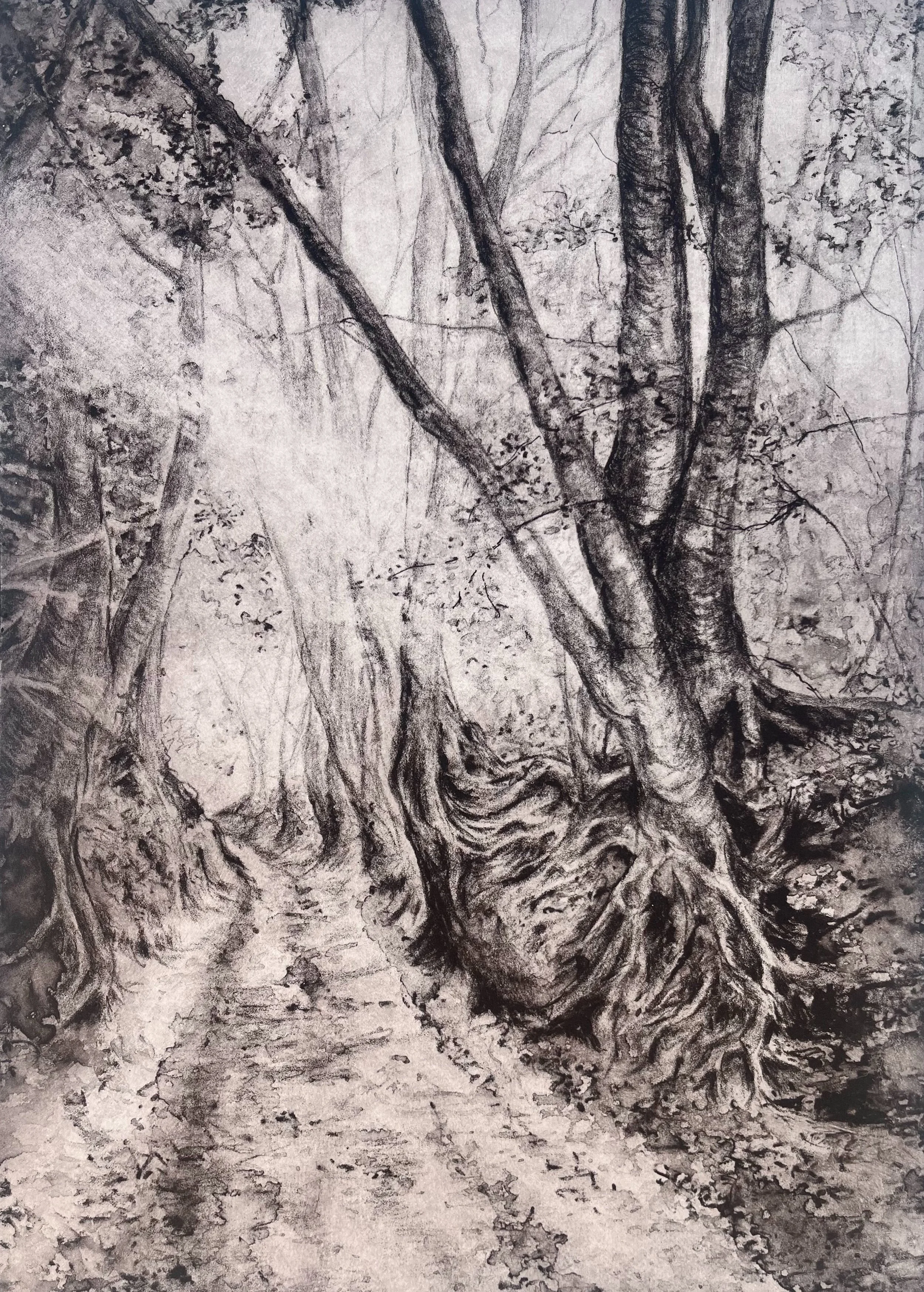 Wolvens Lane II - Corinne Mangan
