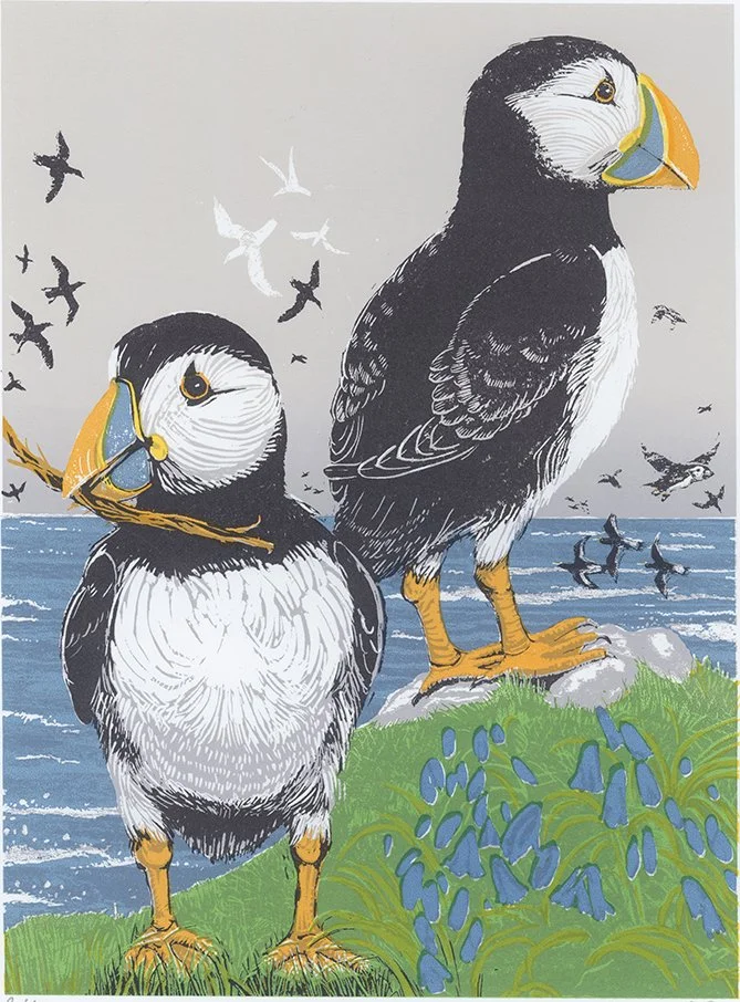 Skomer spring