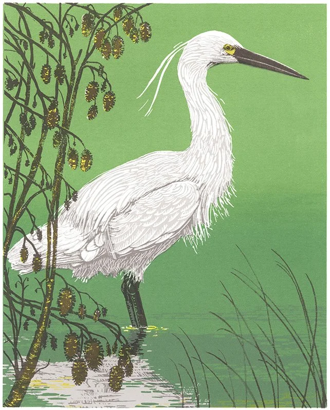 Little Egret II