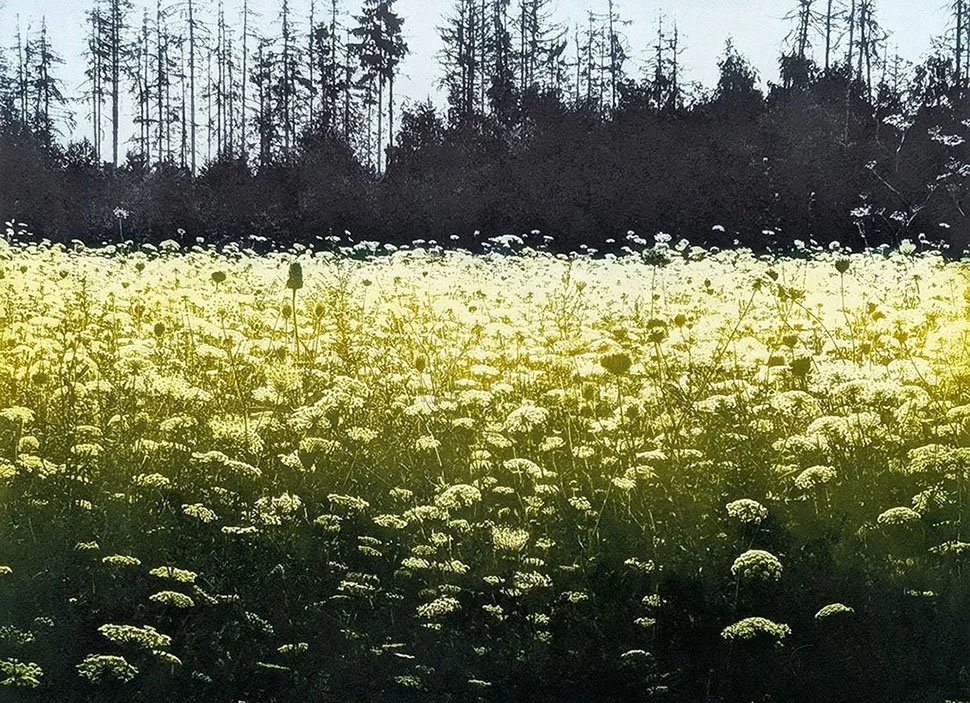 Pritchard_The Bright Field_Photopolymer Etching.jpg