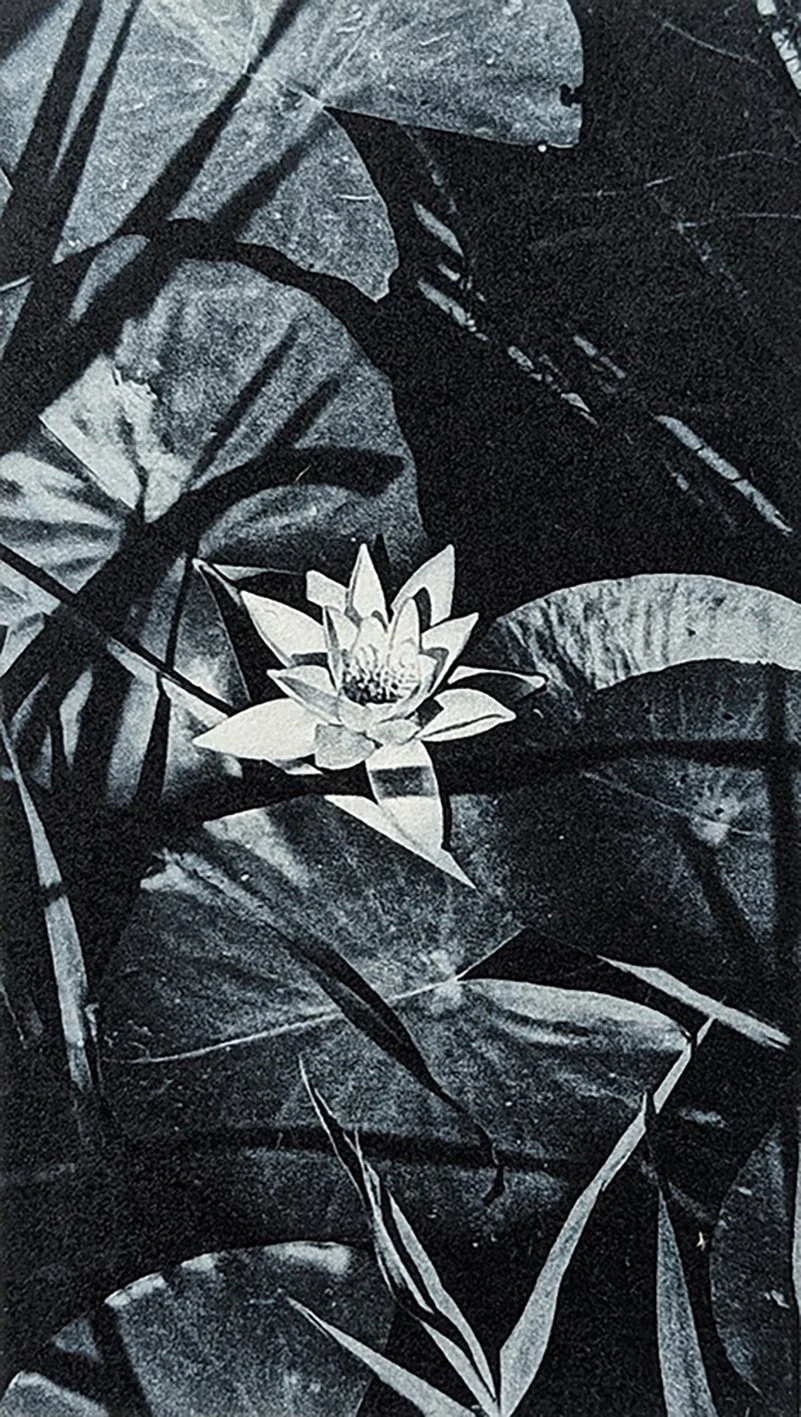 Ros Pritchard Bosherton 2 photopolymer etching.jpg