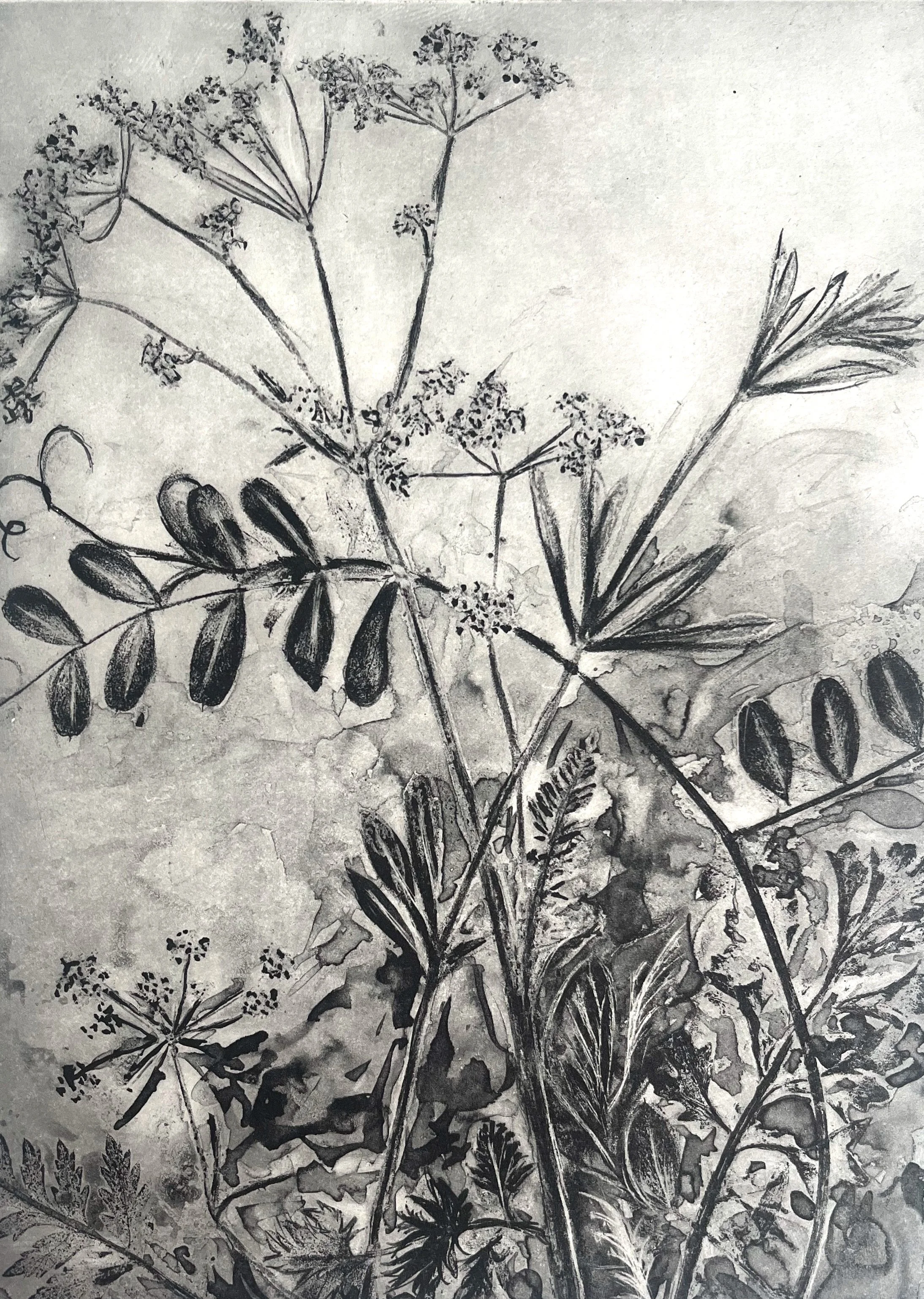 Corinne Mangan_Nascence_Photopolymer Etching.jpg