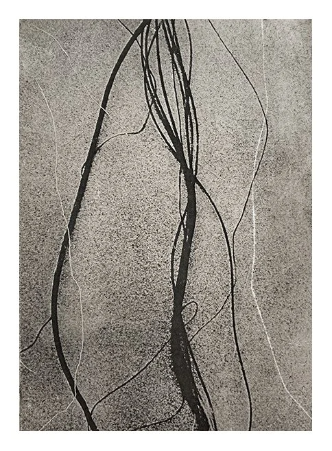  Frances Kiernan  
Opus #8  