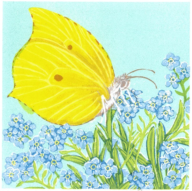PaulaBoyd-Barrett_Forget me not_LO.jpg