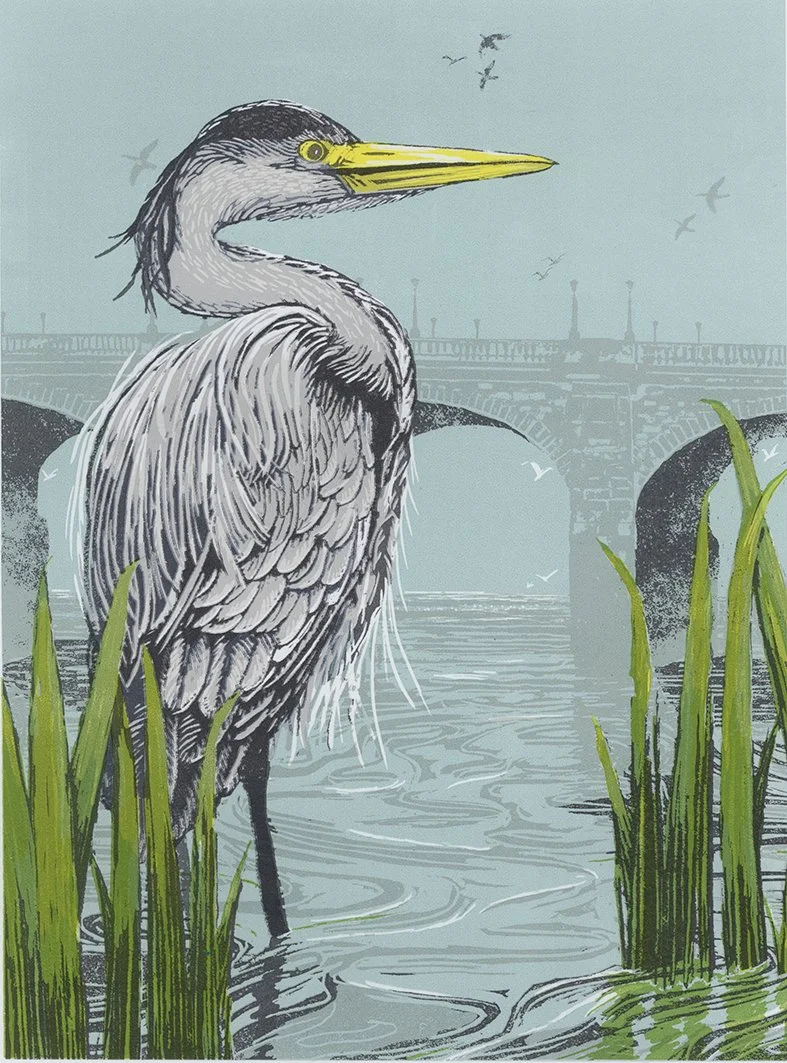 Heron on the Thames