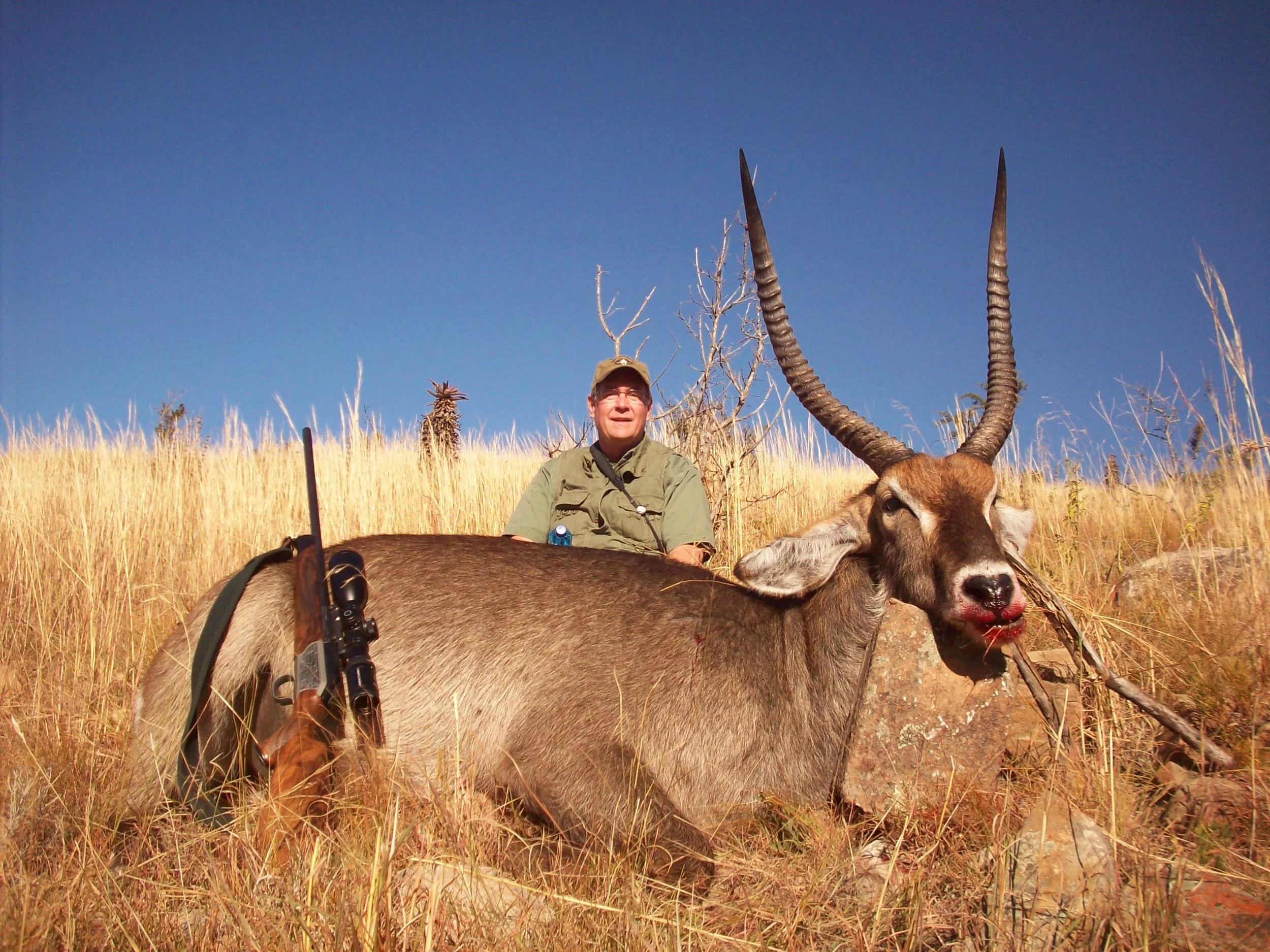 Swasy june 2014 030.JPG