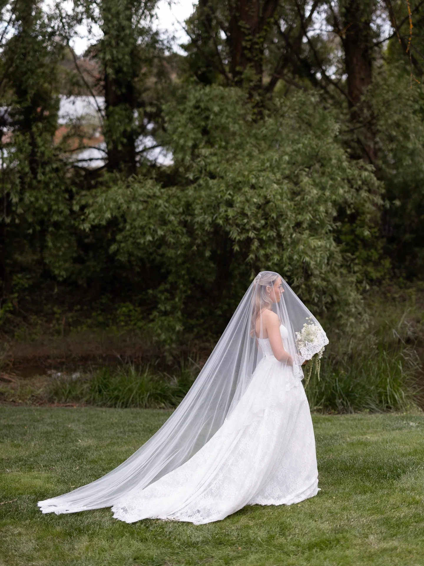Amelia &amp; Tynan&rsquo;s elegant garden soir&eacute;e celebrated at Willow and Stone captured on digital and film 🦢

@willow_and_stone_estate
@ivorythread_bridal
@facesbynat
@hair.by.hannahh_
@styled_bygeorgia
@petalpressco
@max.onsax
@studiocanva