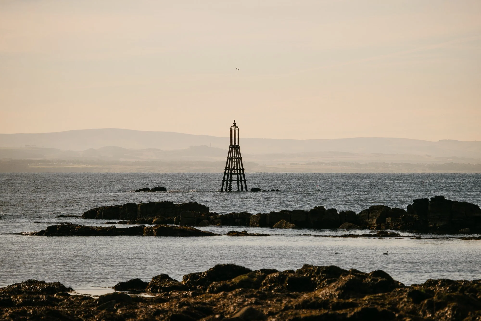 WILLSCOTT-FYNDD-ELIE-21.jpg