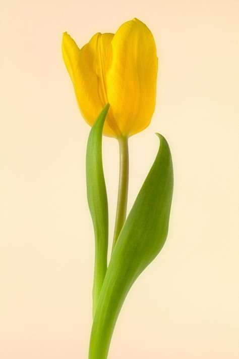 image.jpeg