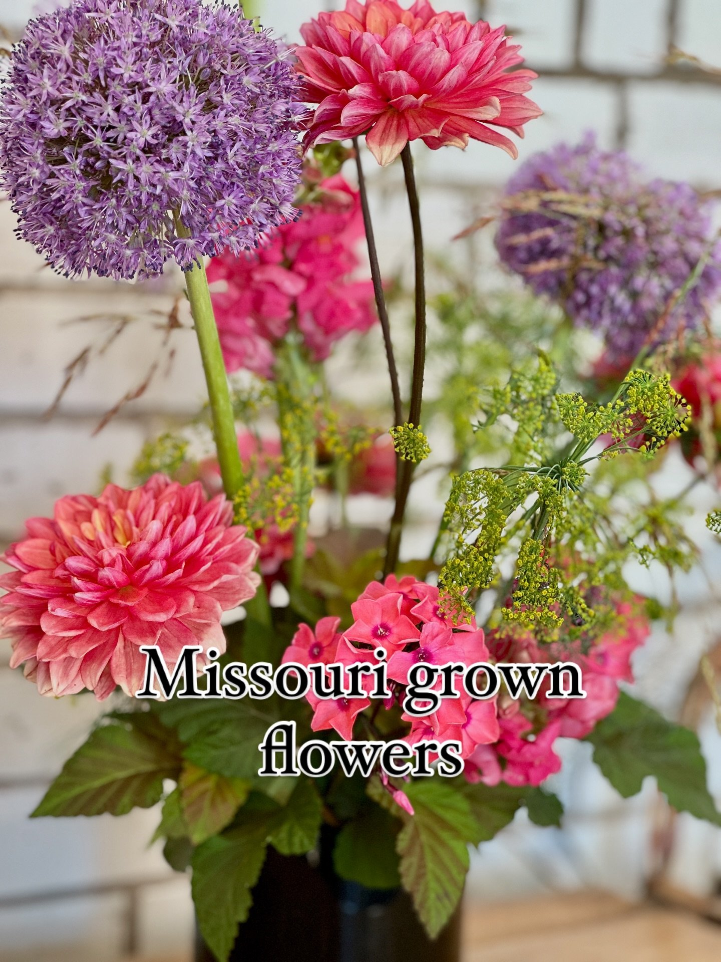 Look at this explosion of flowers all from Missouri Flower Farmers.  Allium, Dahlia, Phlox, Snapdragons, Dill, Nine-bark.