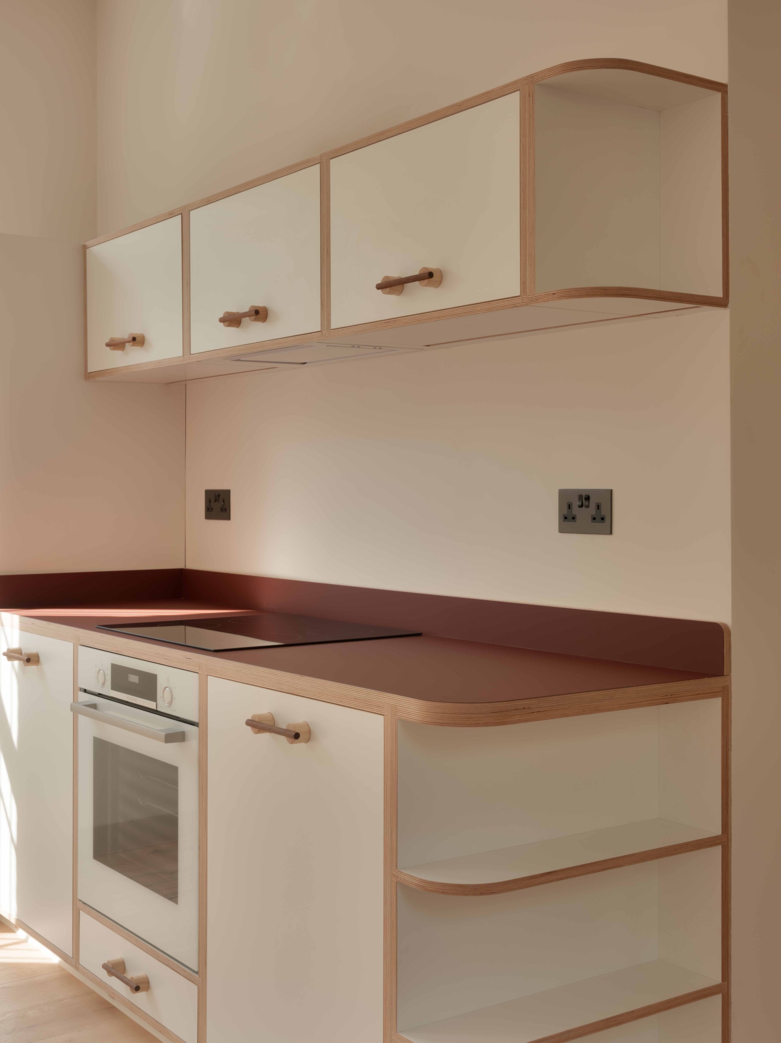 Lozi_plywood_kitchen_Artform_st_marks_rise_flat_2_low-res_3_built-in_kitchen.jpg