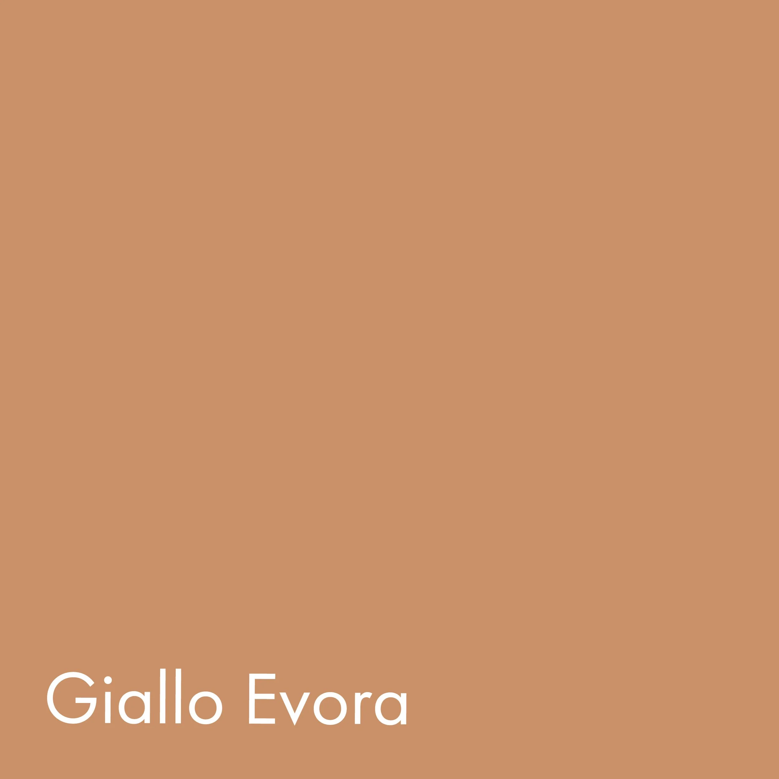 Lozi_Fenix_swatch_Giallo_Evora.jpg